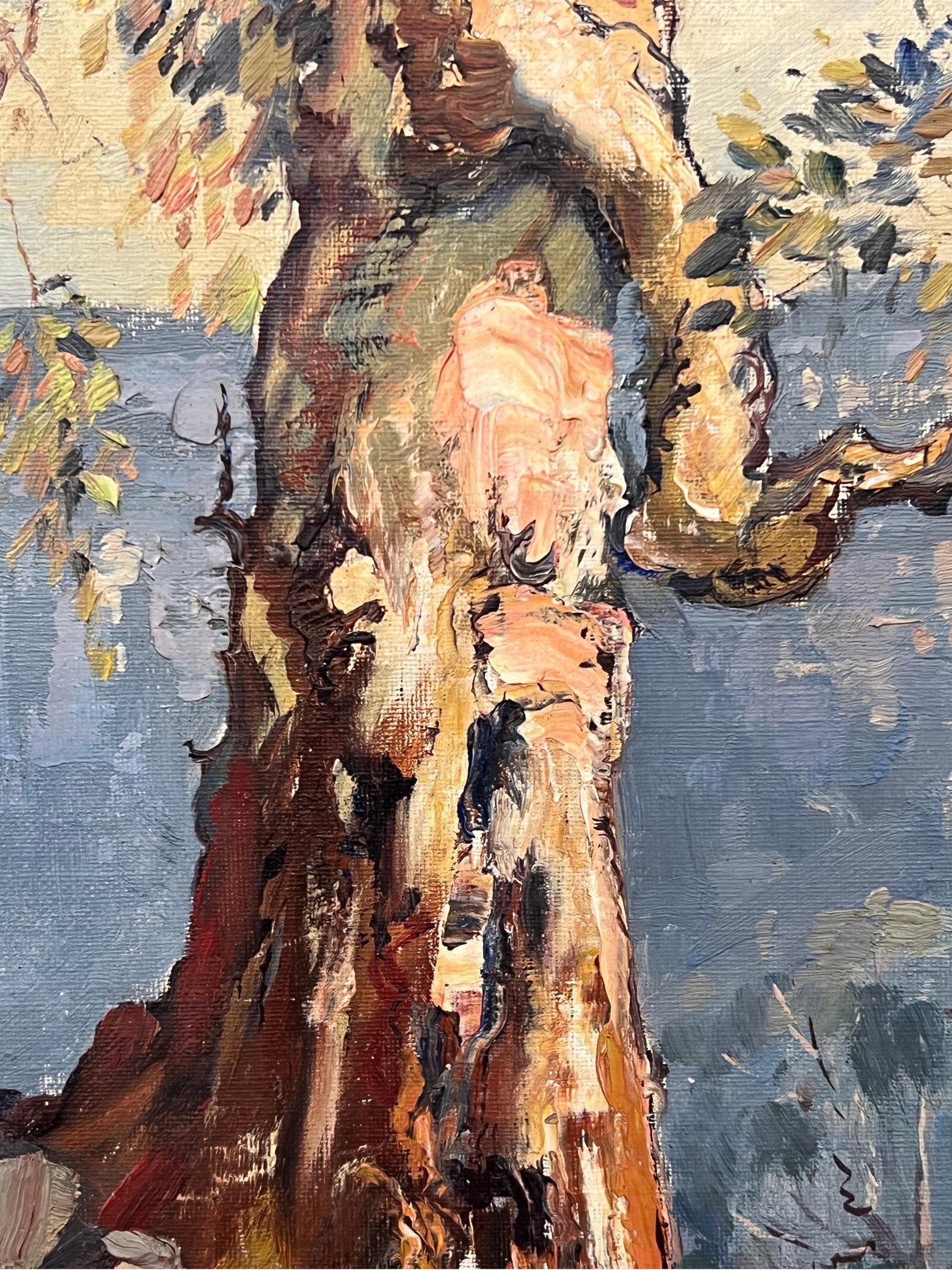 Three Sisters in Blue Mountains, New South Wales Australia by Australian Artist 1962 - 10