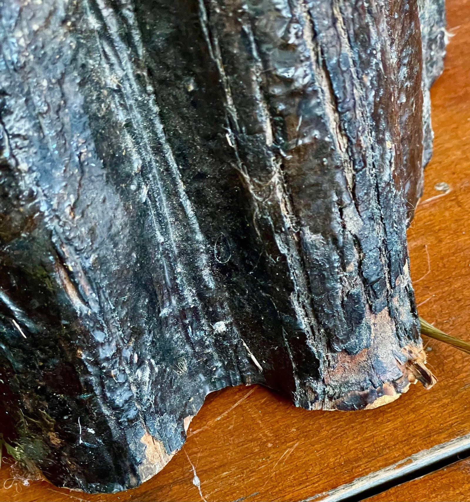 Mid 20th Century Adirondack Cabin Rustic Style Handmade Burl Wood Table Lamp Bark Clock Lacquered - 7