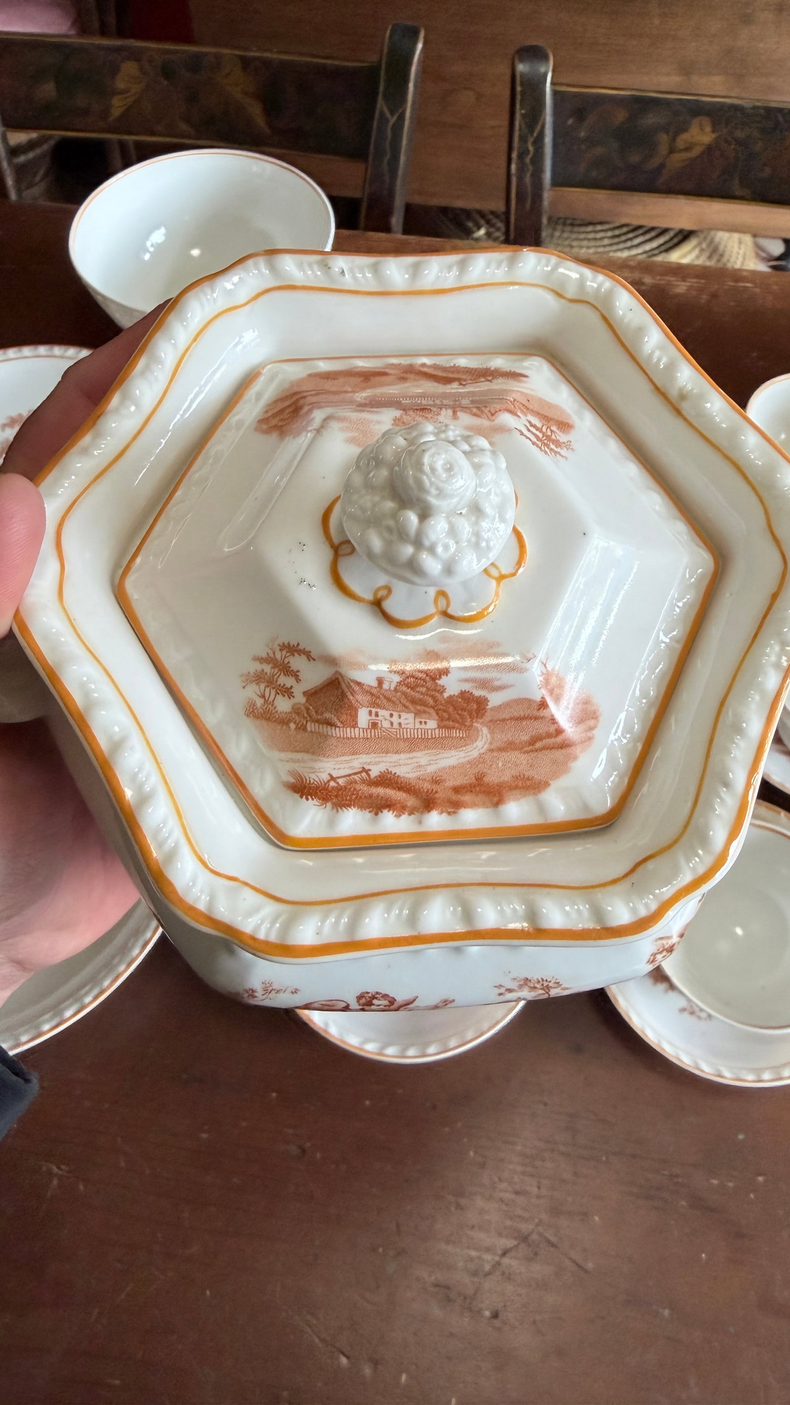 Rare Antique English Bone China Bat Printed Tea Service, by Ridgway, Pattern 1684/2, Circa 1830s - 2 - 12