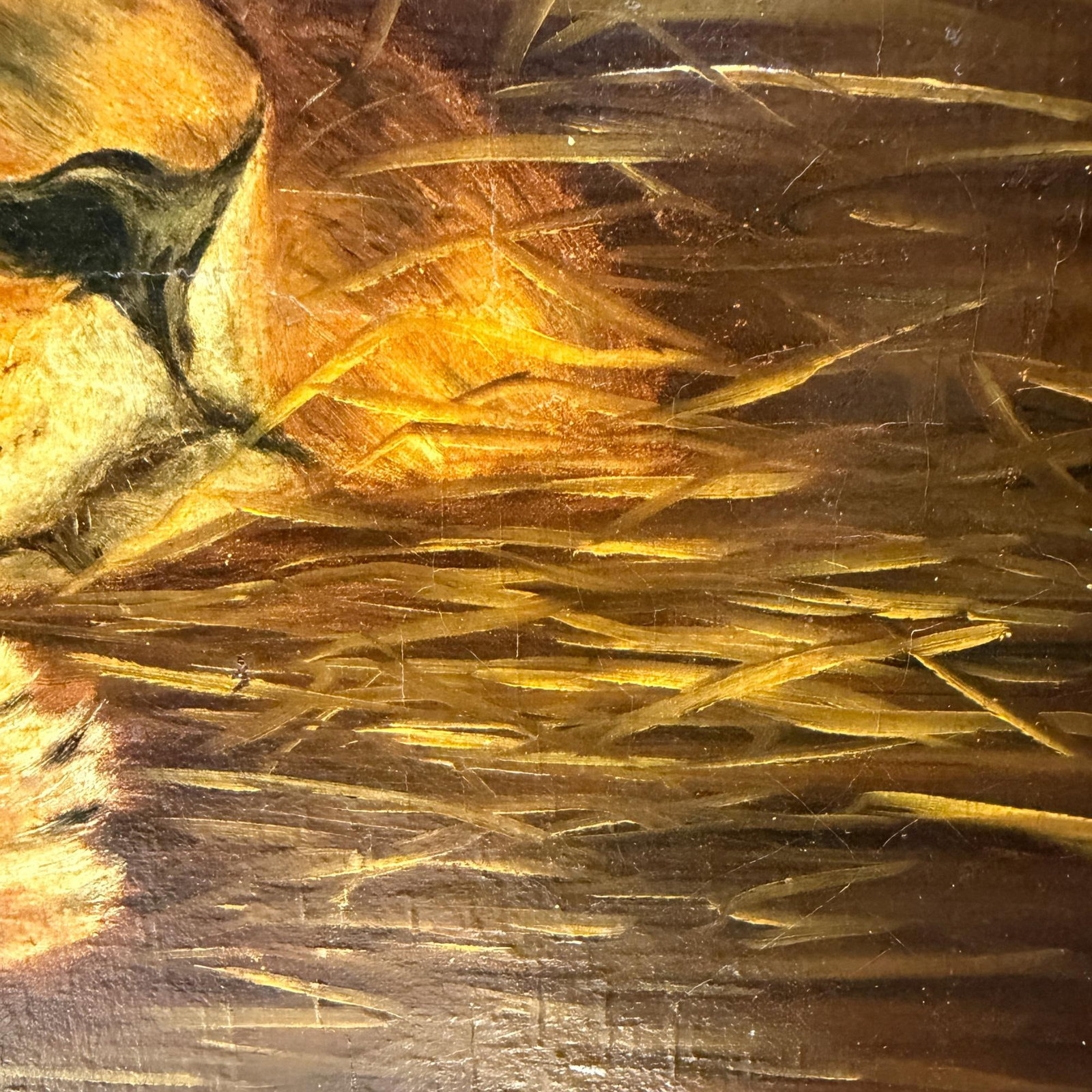 Oil Canvas Reproduction Repose the British Lion by the Hungarian Géza Vastagh - 10