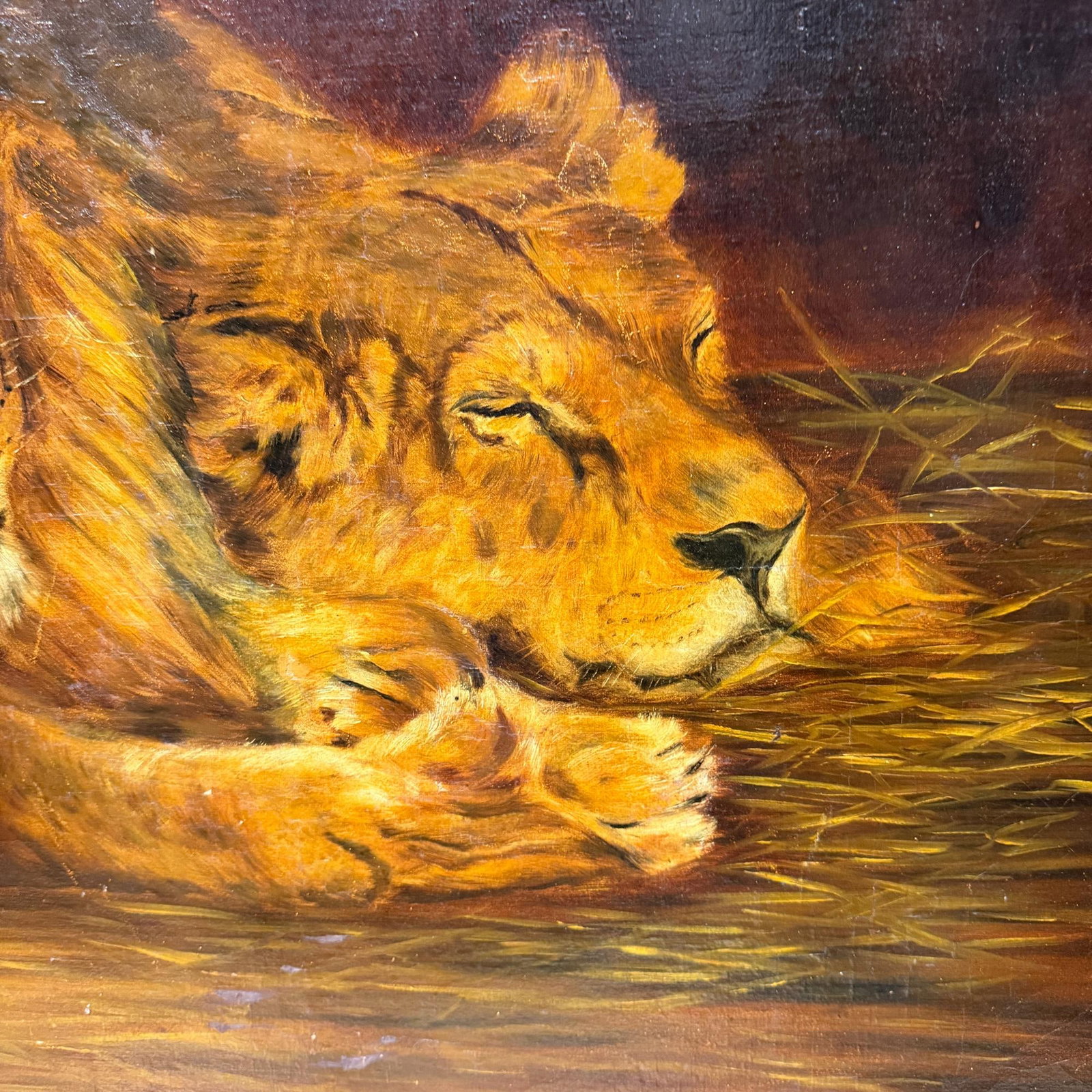 Oil Canvas Reproduction Repose the British Lion by the Hungarian Géza Vastagh - 2