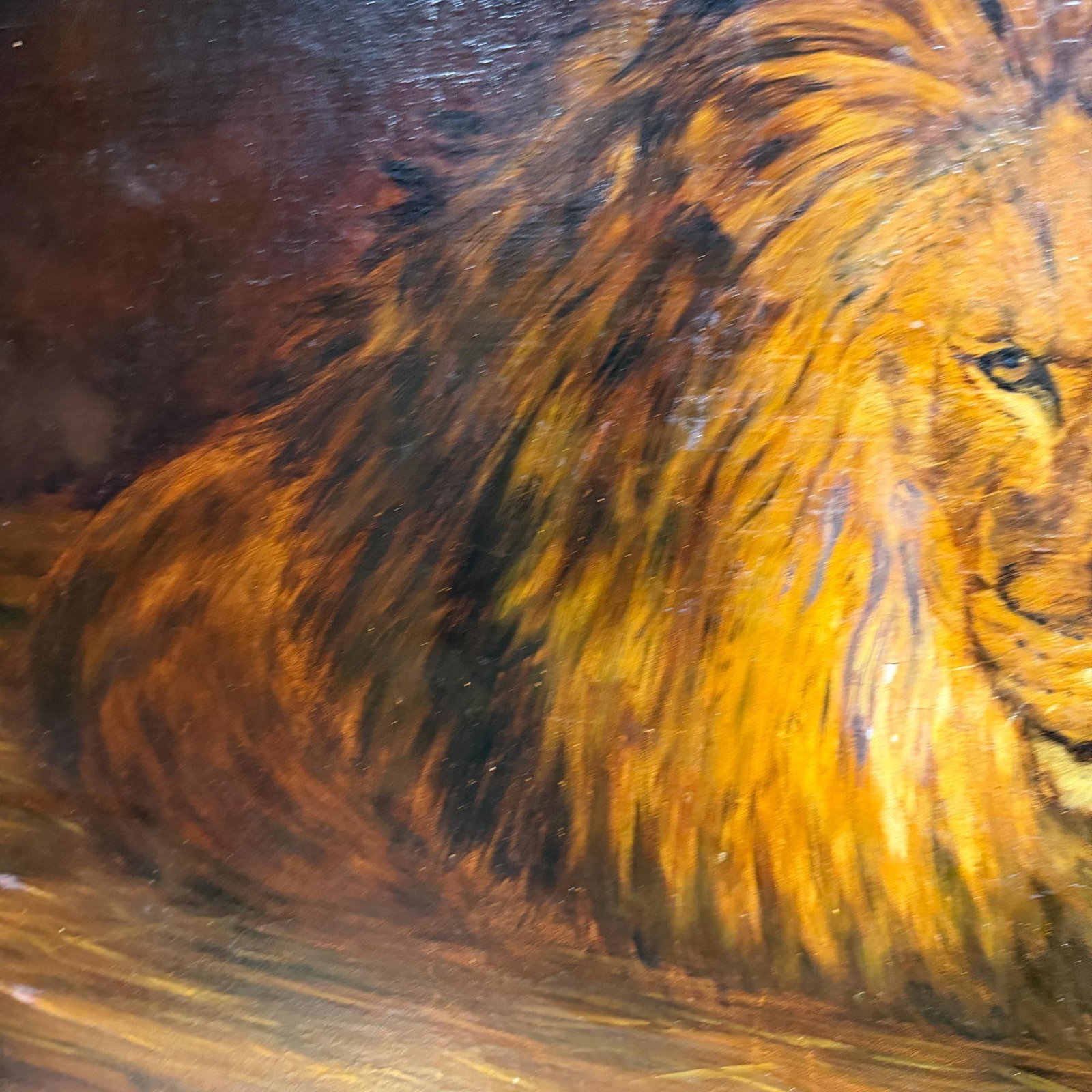Oil Canvas Reproduction Repose the British Lion by the Hungarian Géza Vastagh - 5