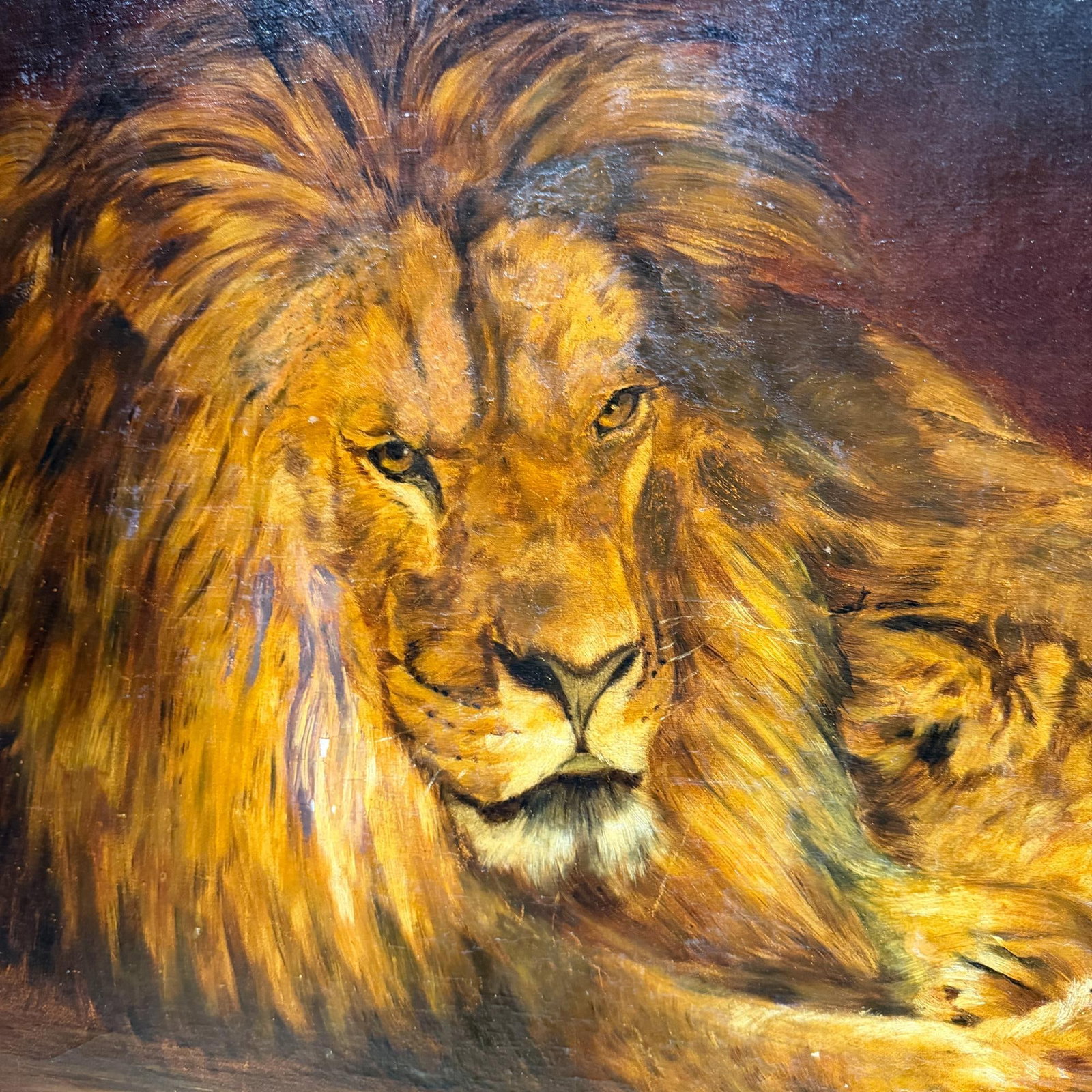 Oil Canvas Reproduction Repose the British Lion by the Hungarian Géza Vastagh - 7