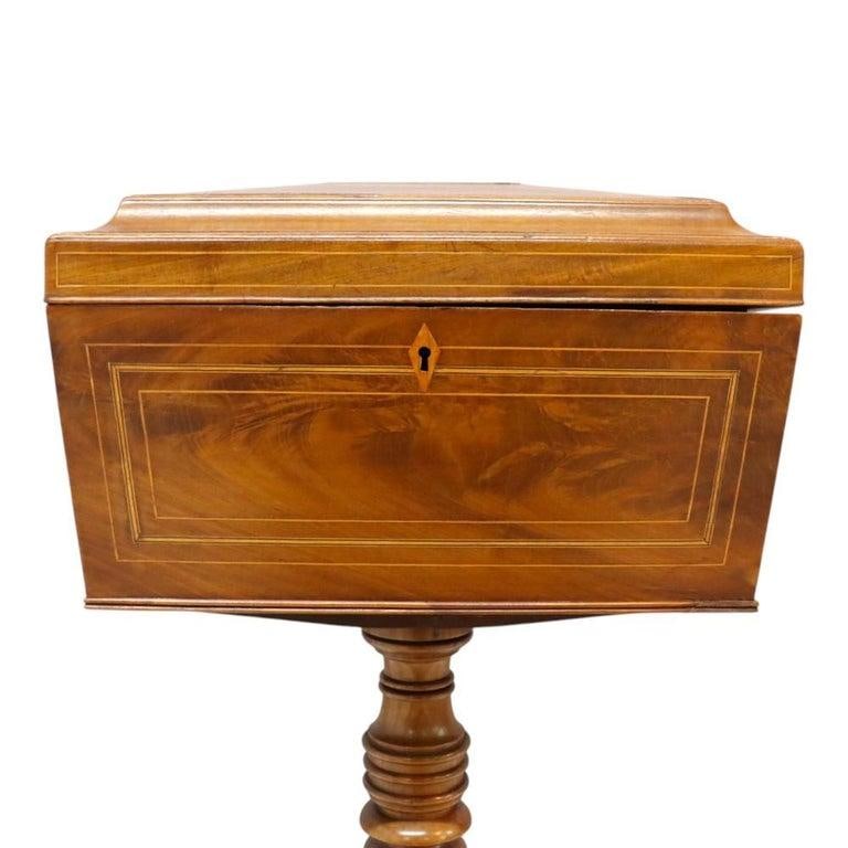 English Rosewood Tea Caddy With Satinwood Banding & Claw Feet 19thC - 3