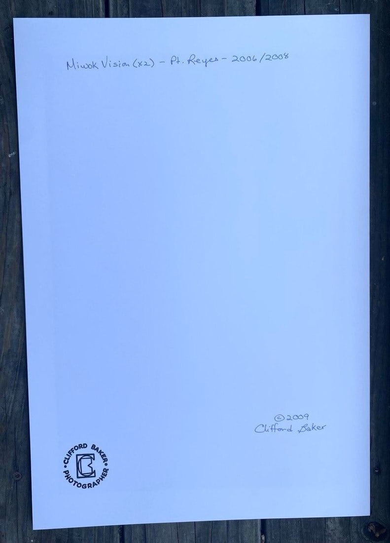 Miwok Vision (X2), Point Reyes, California 2008/2009 Original Artwork by Clifford Baker - 7