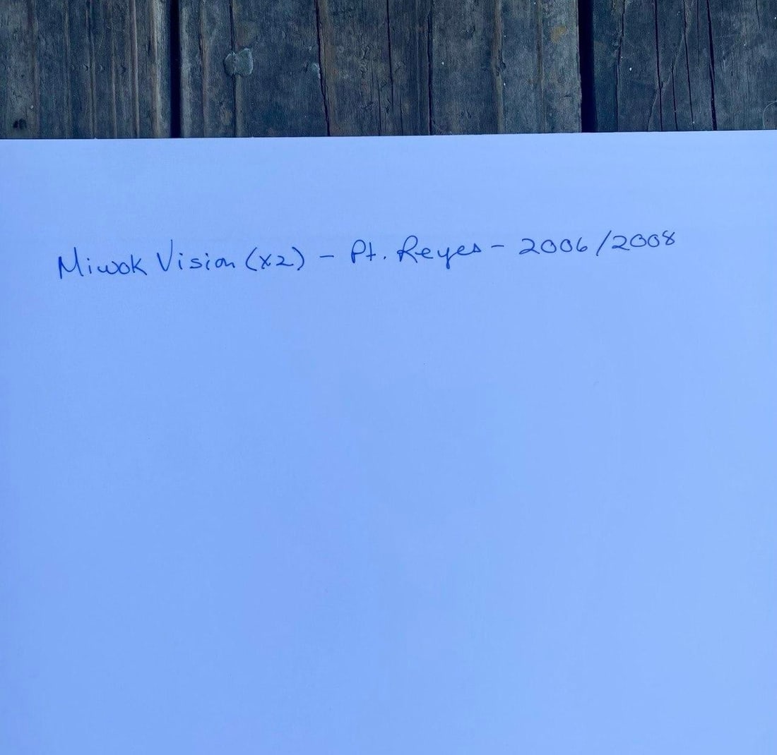 Miwok Vision (X2), Point Reyes, California 2008/2009 Original Artwork by Clifford Baker - 8