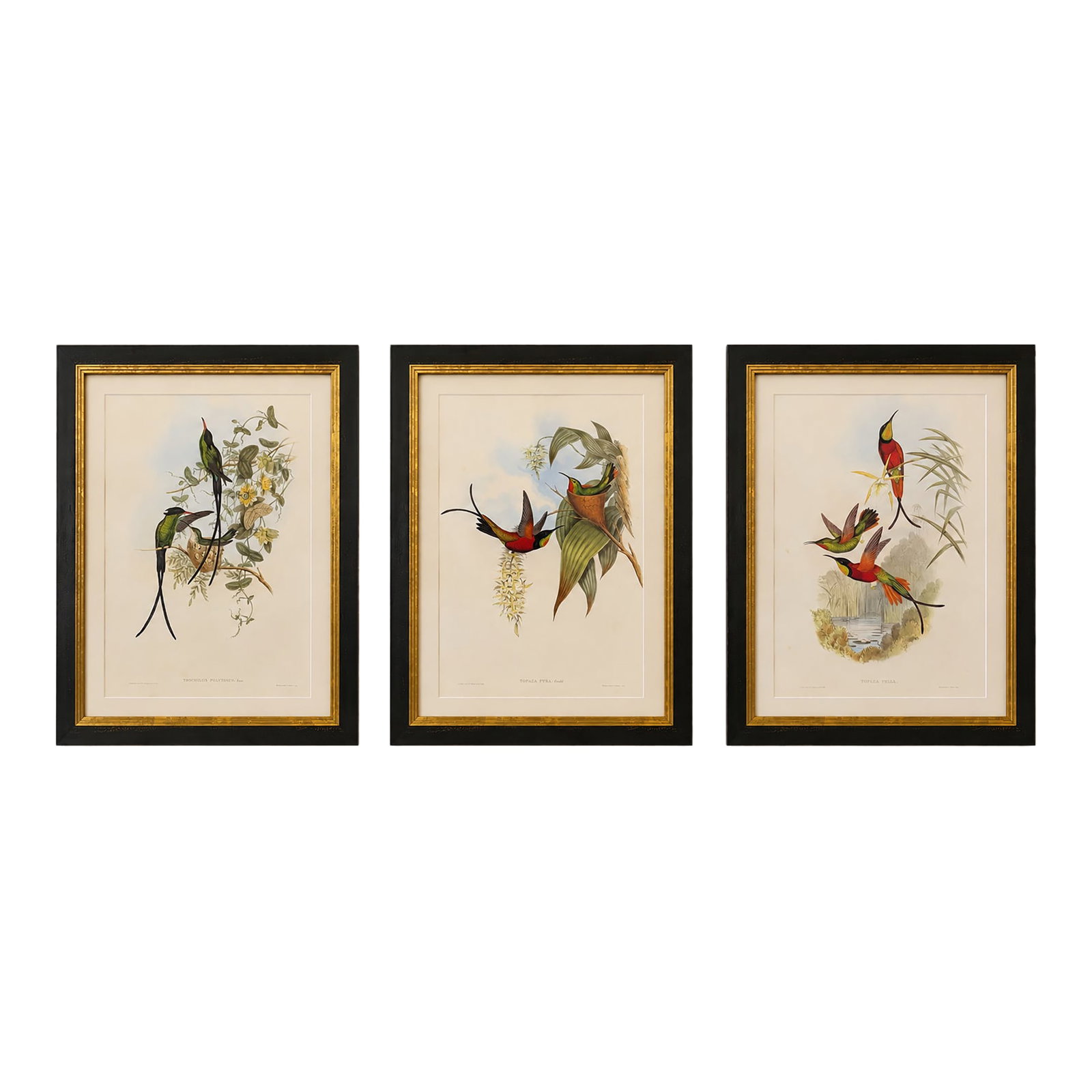1990s Framed Prints, Set of 3, Crimson Topaz, Fiery Topaz, and Black-Capped Hummingbirds Hill House (1 of 12)