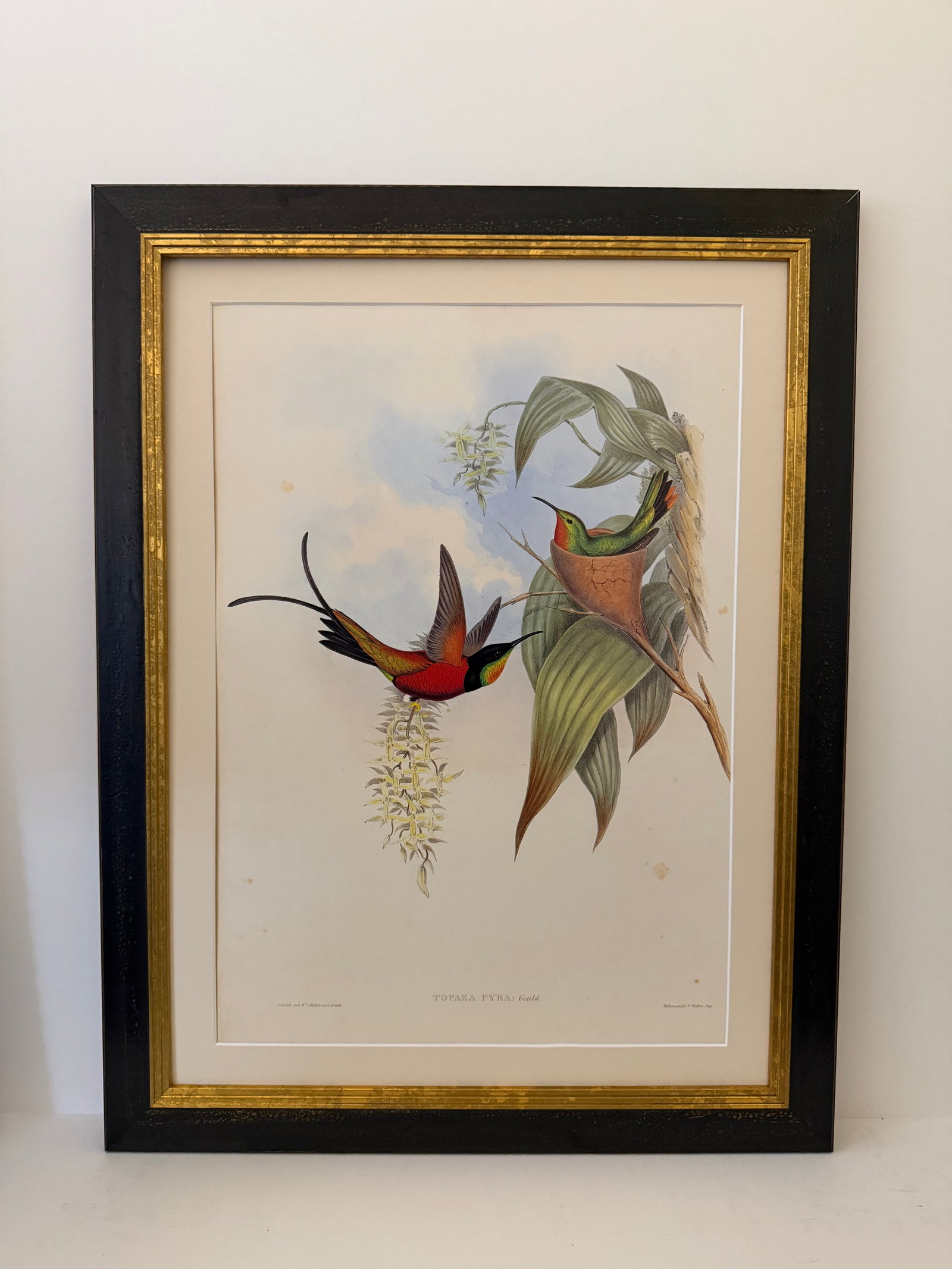 1990s Framed Prints, Set of 3, Crimson Topaz, Fiery Topaz, and Black-Capped Hummingbirds Hill House - 2