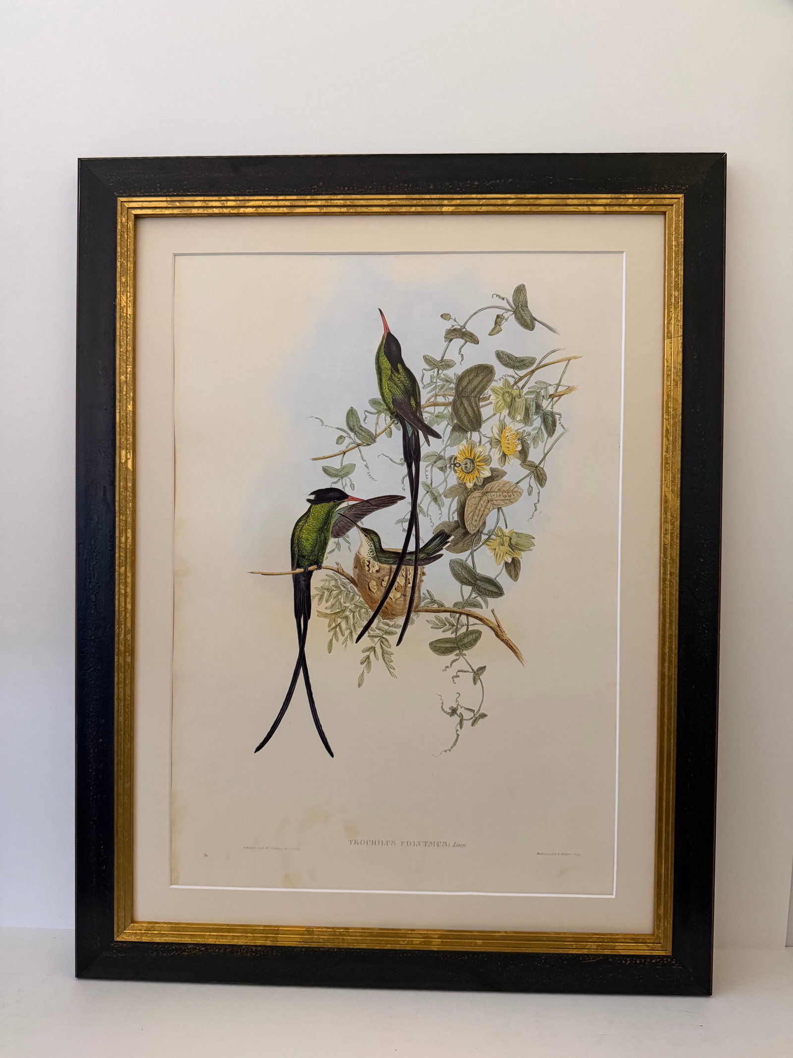 1990s Framed Prints, Set of 3, Crimson Topaz, Fiery Topaz, and Black-Capped Hummingbirds Hill House - 3