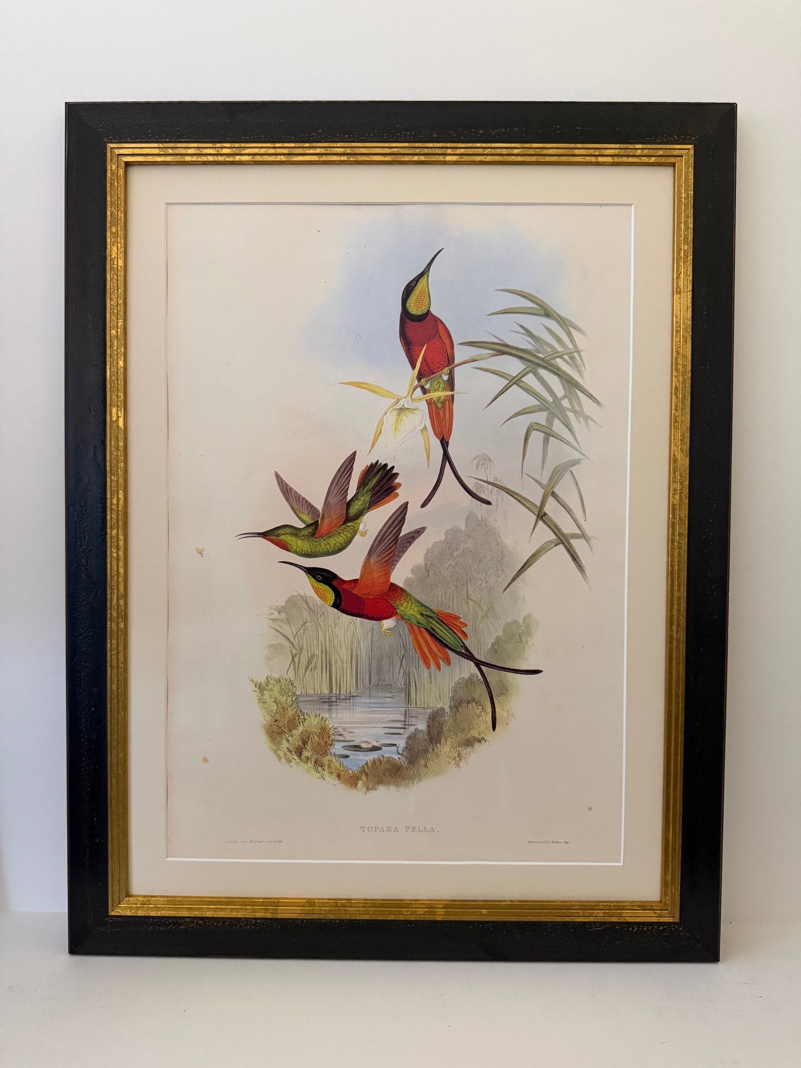 1990s Framed Prints, Set of 3, Crimson Topaz, Fiery Topaz, and Black-Capped Hummingbirds Hill House - 4