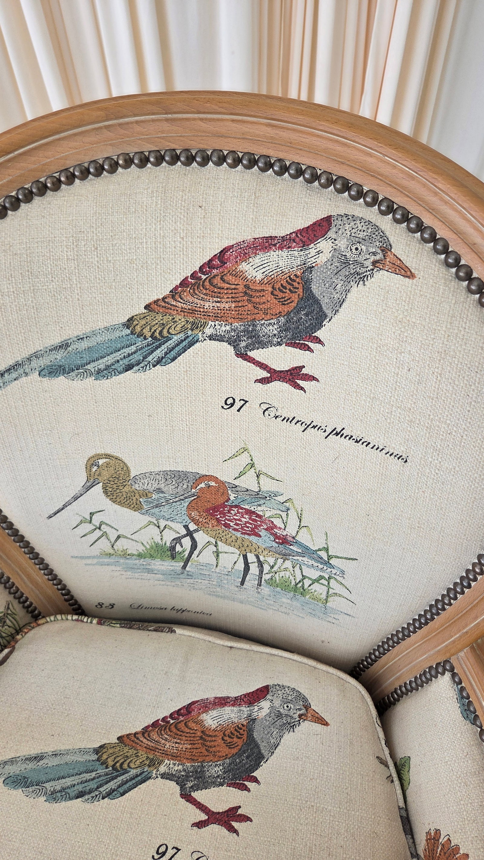 1980s French Louis XVI Style Armchair With Upholstered Bird Tapestry Fabric - 12