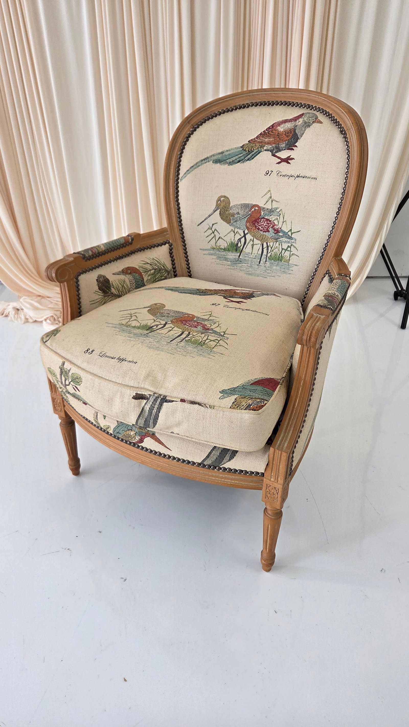 1980s French Louis XVI Style Armchair With Upholstered Bird Tapestry Fabric - 15
