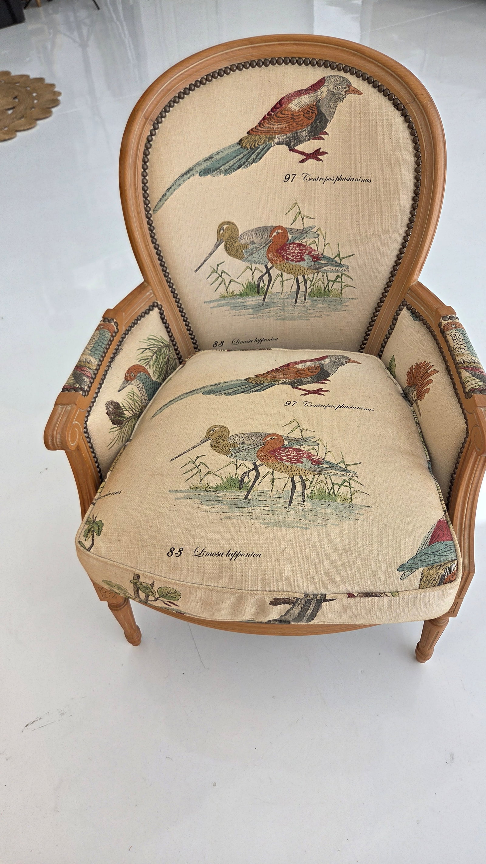 1980s French Louis XVI Style Armchair With Upholstered Bird Tapestry Fabric - 4