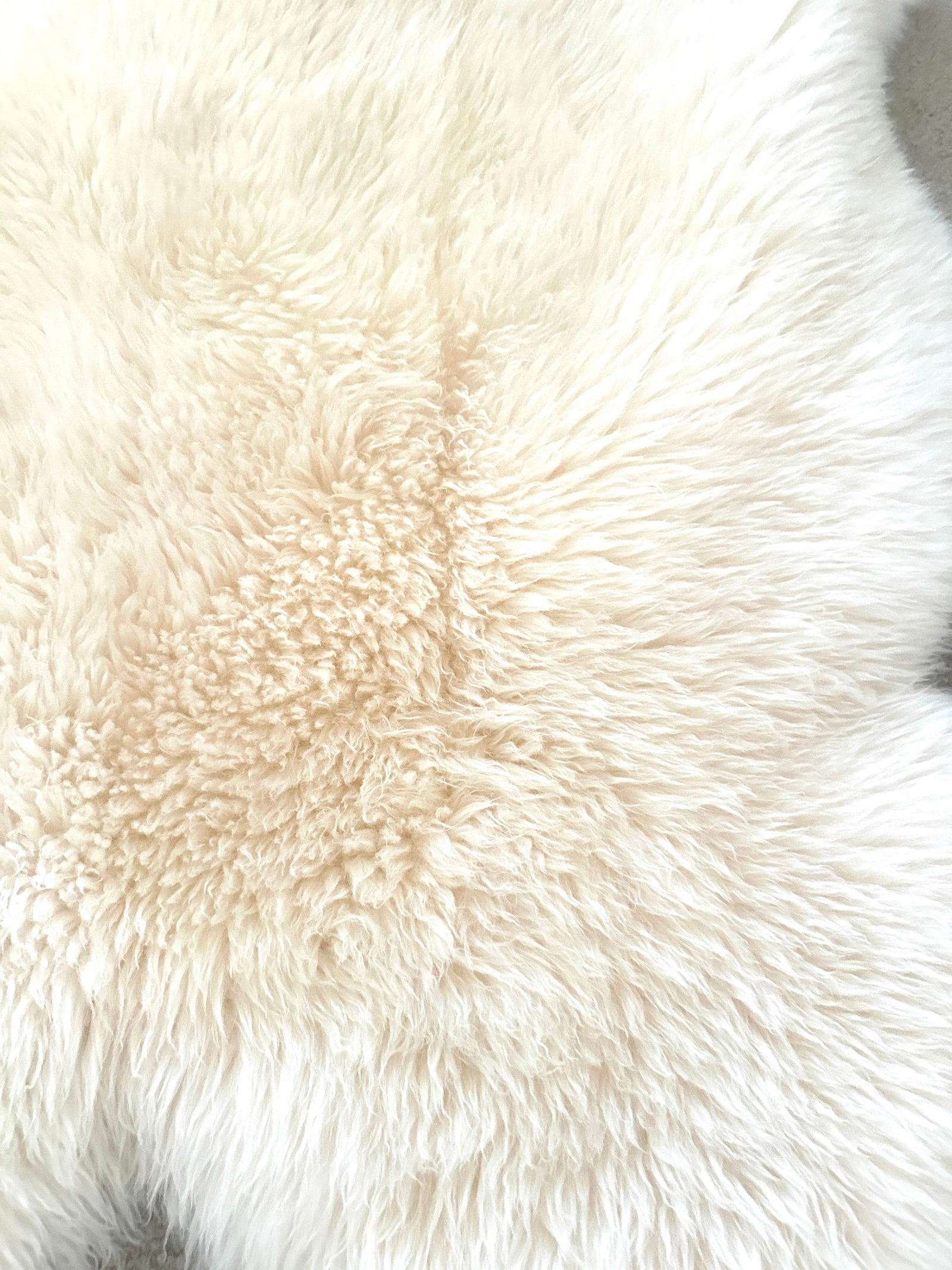 Pottery Barn Style Cream Austrialian Sheep Skin Hide - 2