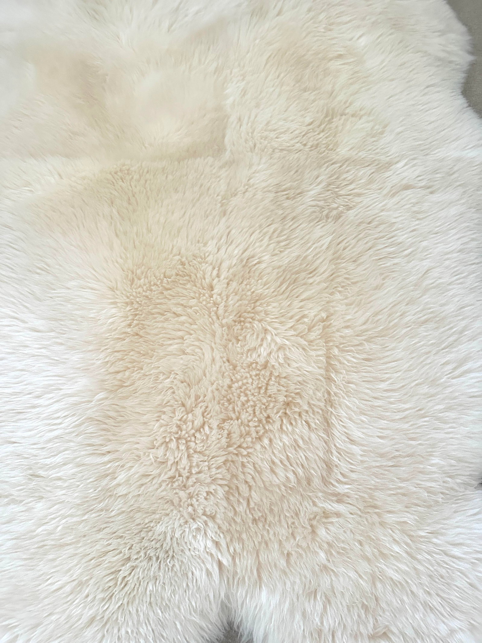 Pottery Barn Style Cream Austrialian Sheep Skin Hide - 5