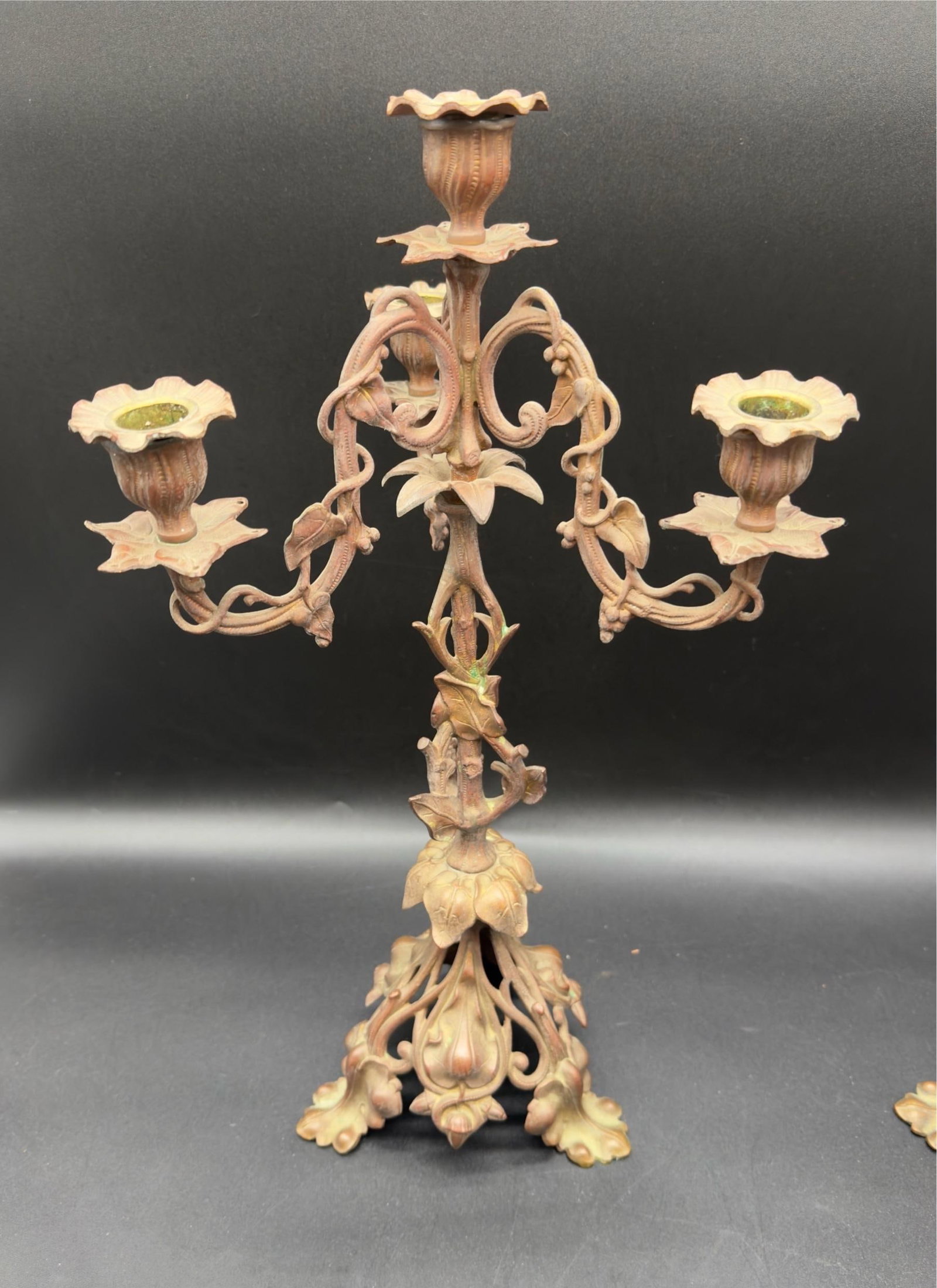 Antique French Art Noveau Bronze Candelabra Set - 3