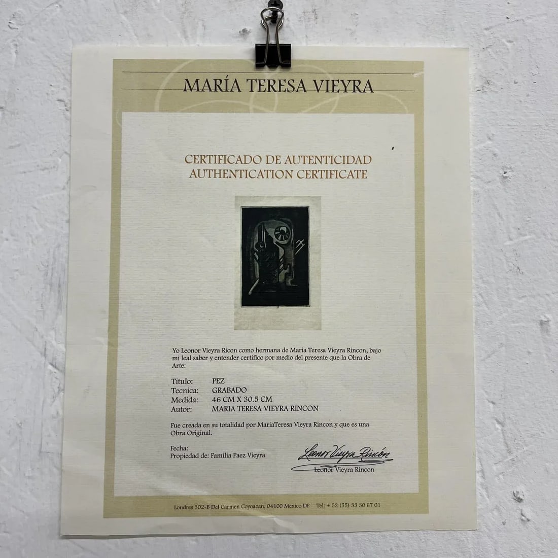 Pez Abstract Paper Engraving, Limited Edition 6/25, Maria Teresa Vieyra Rincon - 7