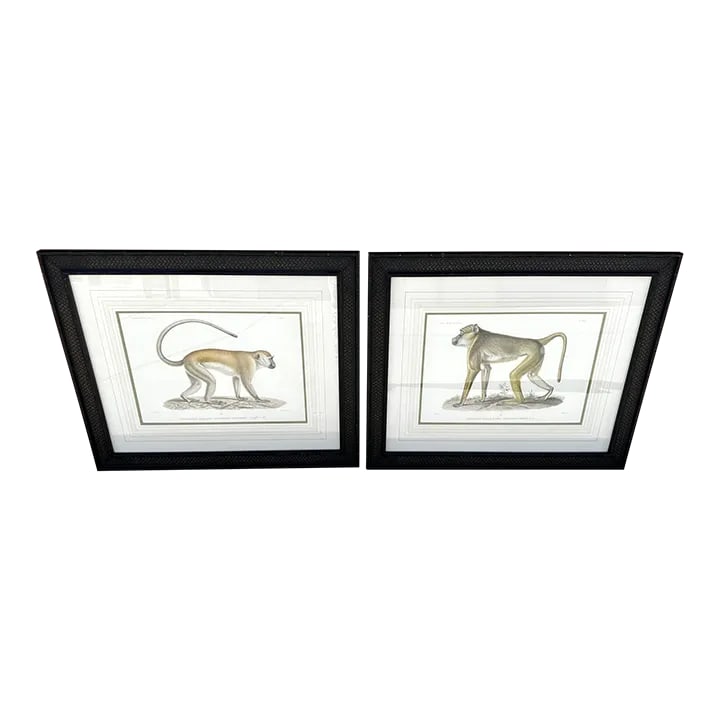 Soicher Marin Pair of Monkey Prints: Soicher-Marin Pair of Primate Prints in a Faux Bamboo/Rattan Frame and Matted. Great Palm Beach Style. Primates 1 & 2 35in w x 29in h x 1in d Make sure to follow me, I have flash sales for my