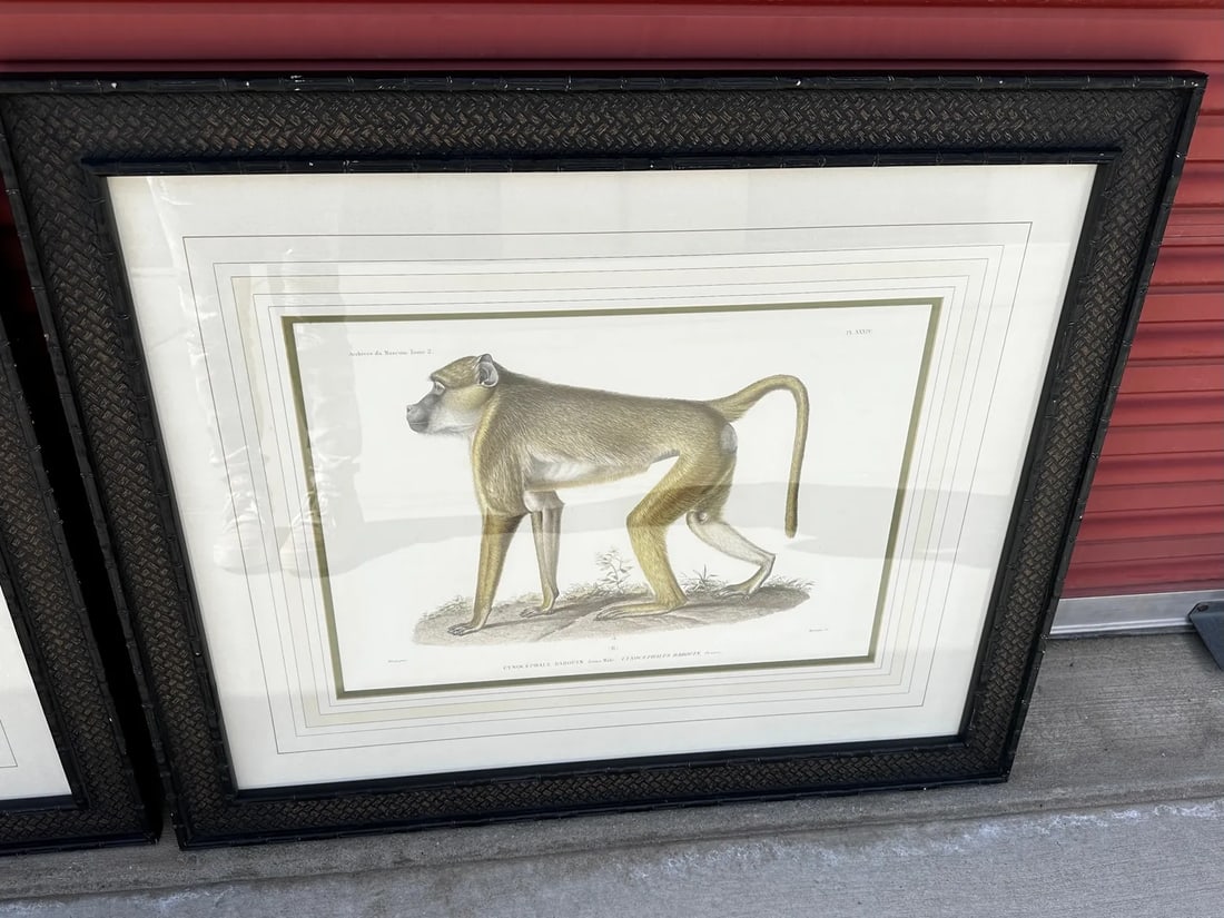 Soicher Marin Pair of Monkey Prints - 3