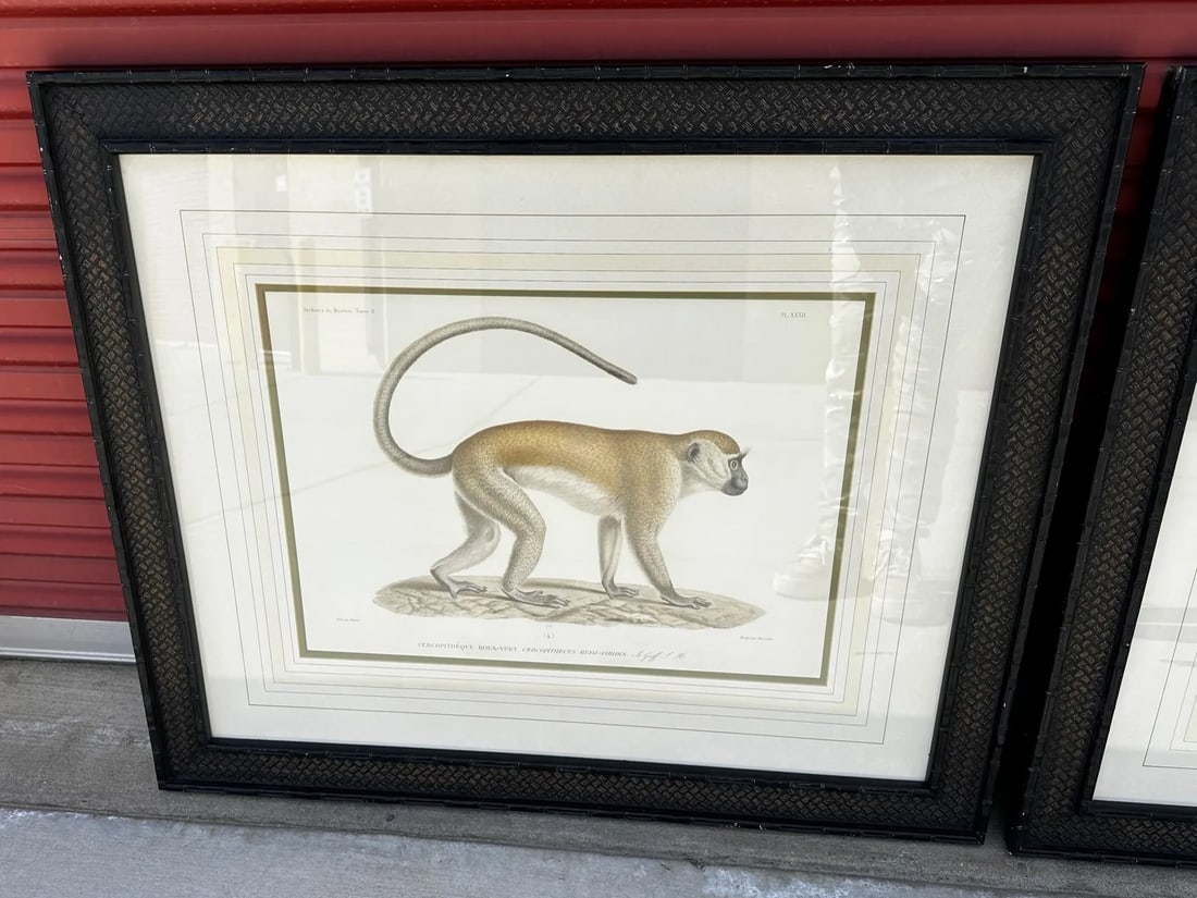 Soicher Marin Pair of Monkey Prints - 4