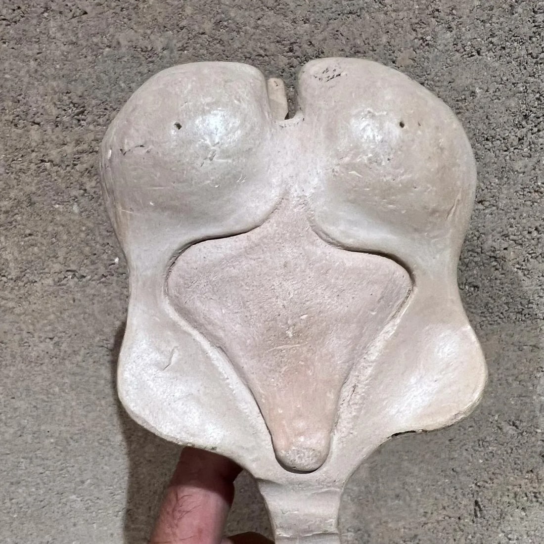1970s Studio Pottery Art Sculptural White Spine Vertebrae - 7