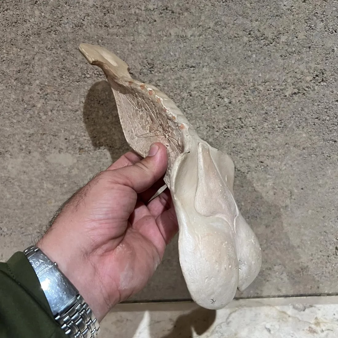 1970s Studio Pottery Art Sculptural White Spine Vertebrae - 8