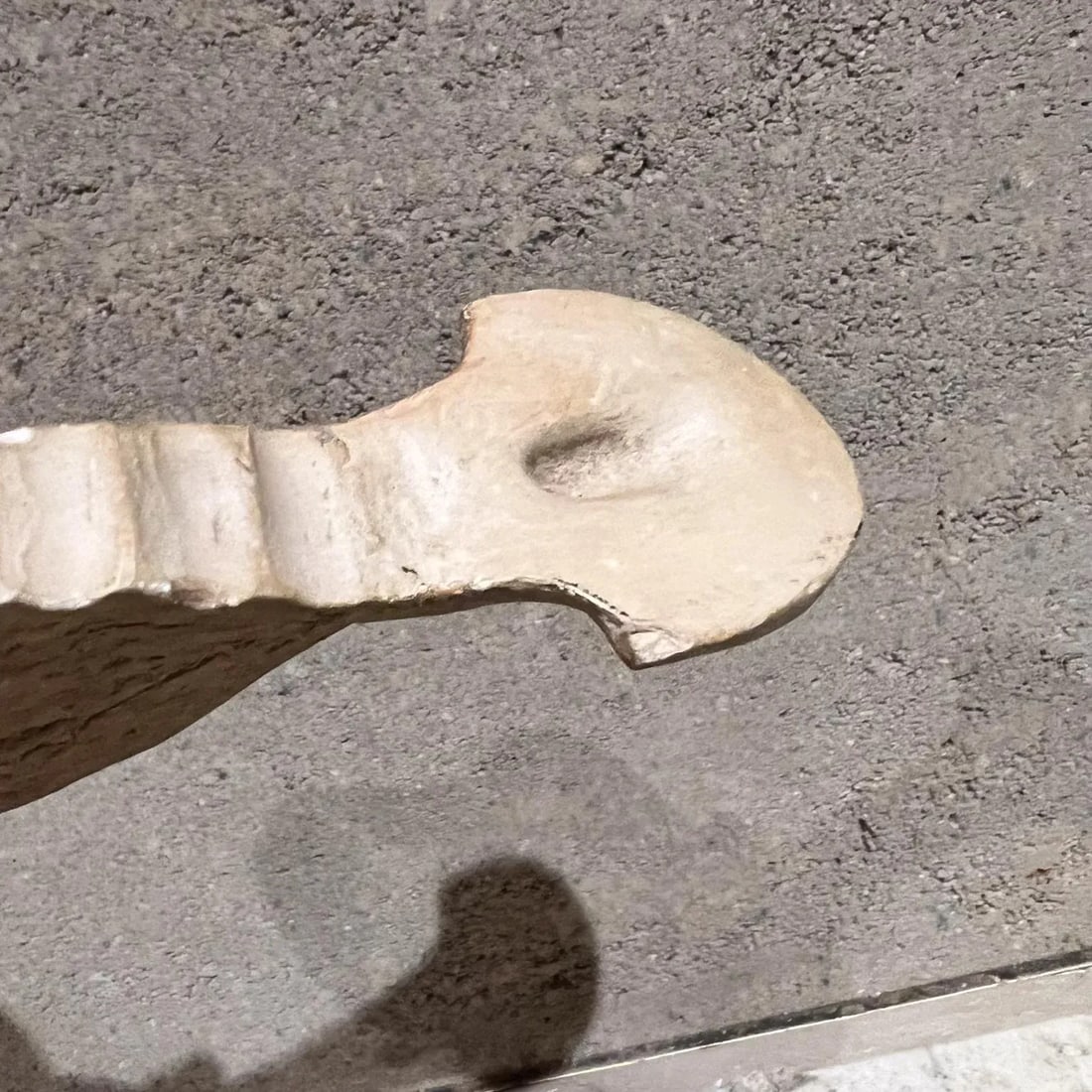 1970s Studio Pottery Art Sculptural White Spine Vertebrae - 9
