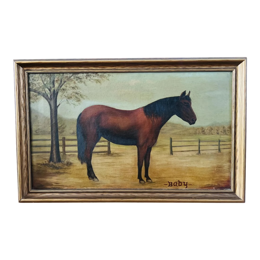 19th Century, American School Folk Art "Baby" Horse O/C - Signed: This charming 19th-century American School folk art painting, titled "Baby," captures the innocence and vitality of a young horse with delightful naivety and artistic flair. Executed in oil on canvas,