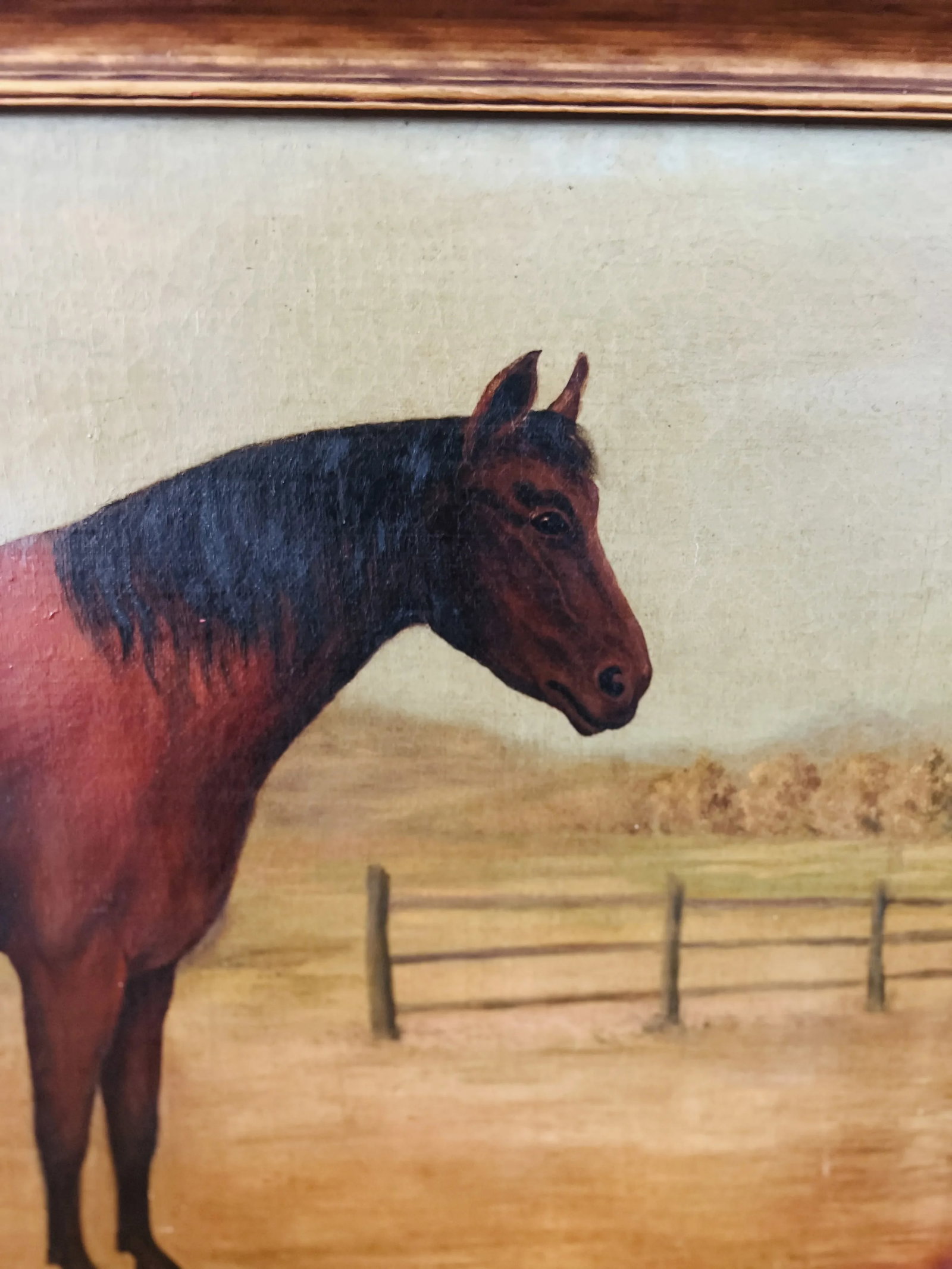 19th Century, American School Folk Art "Baby" Horse O/C - Signed - 5