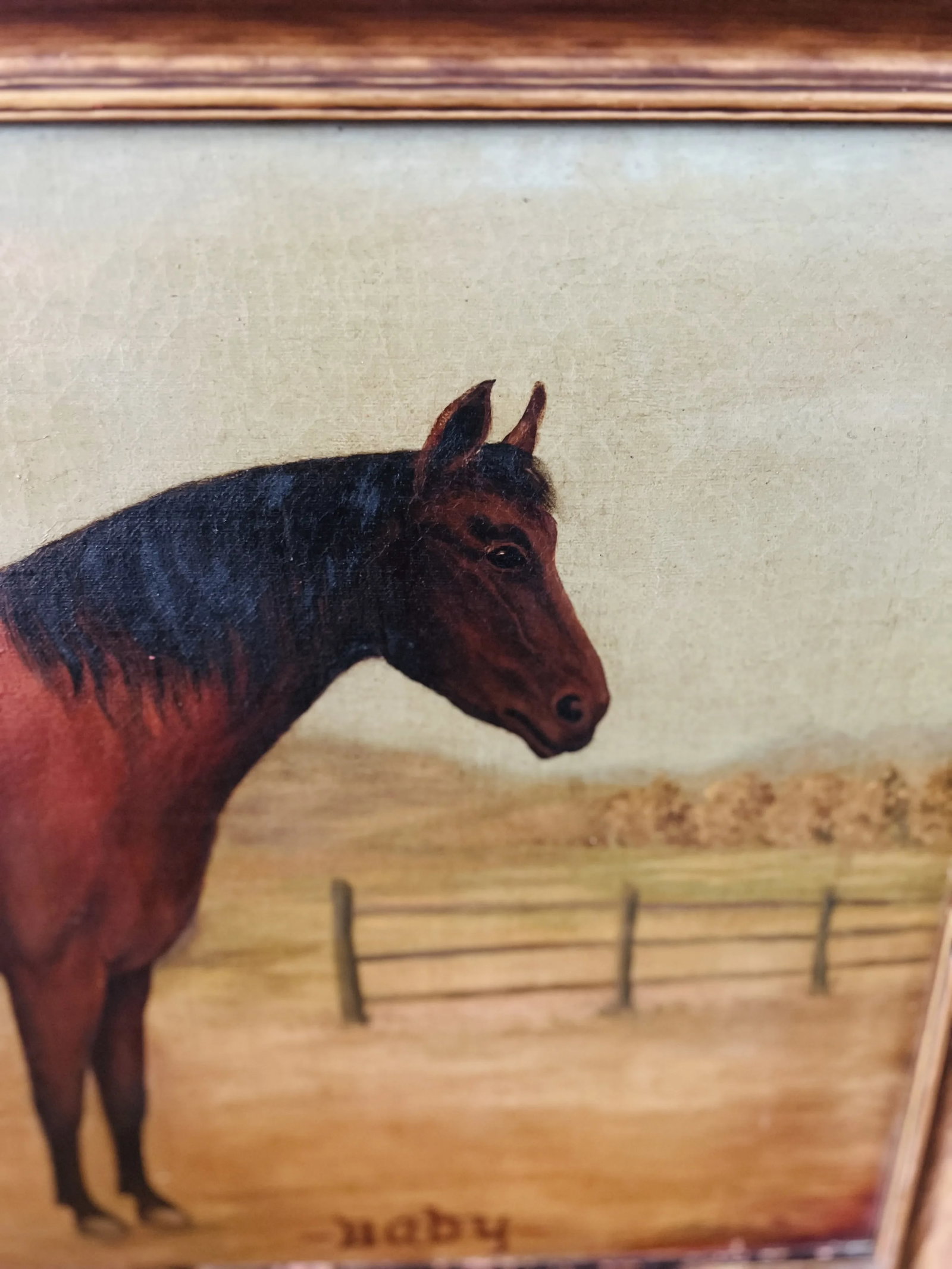 19th Century, American School Folk Art "Baby" Horse O/C - Signed - 6