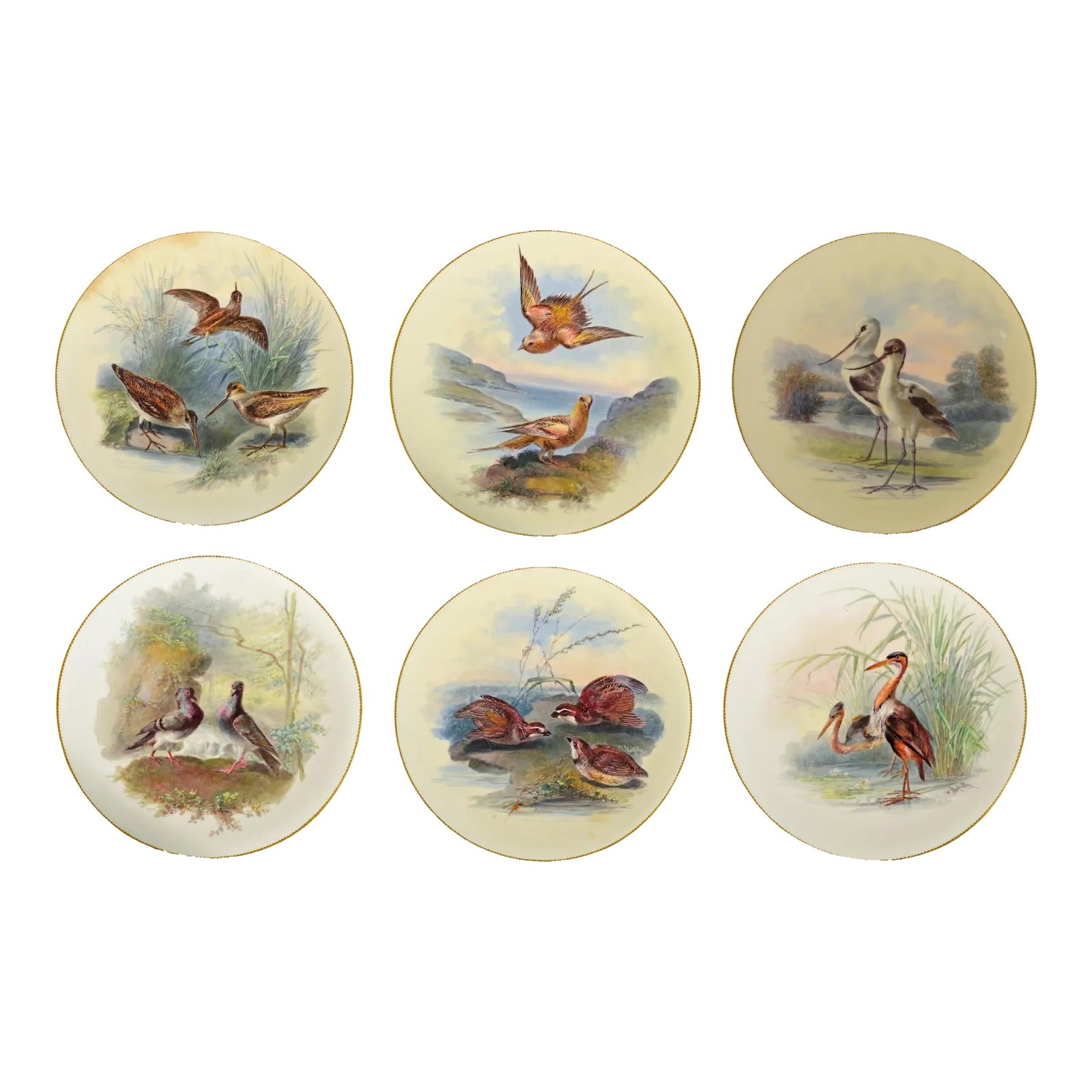 Antique English Minton Porcelain Cabinet Plates of Birds Signed by William Mussil, a Set of Six: Gilded Age Fauna: William Mussill's Masterpieces for the American Market Object: Set of Six Porcelain Cabinet Plates (Bird Service) Artist: William Mussill (1847–1919) Manufacturer: Minton, Stok