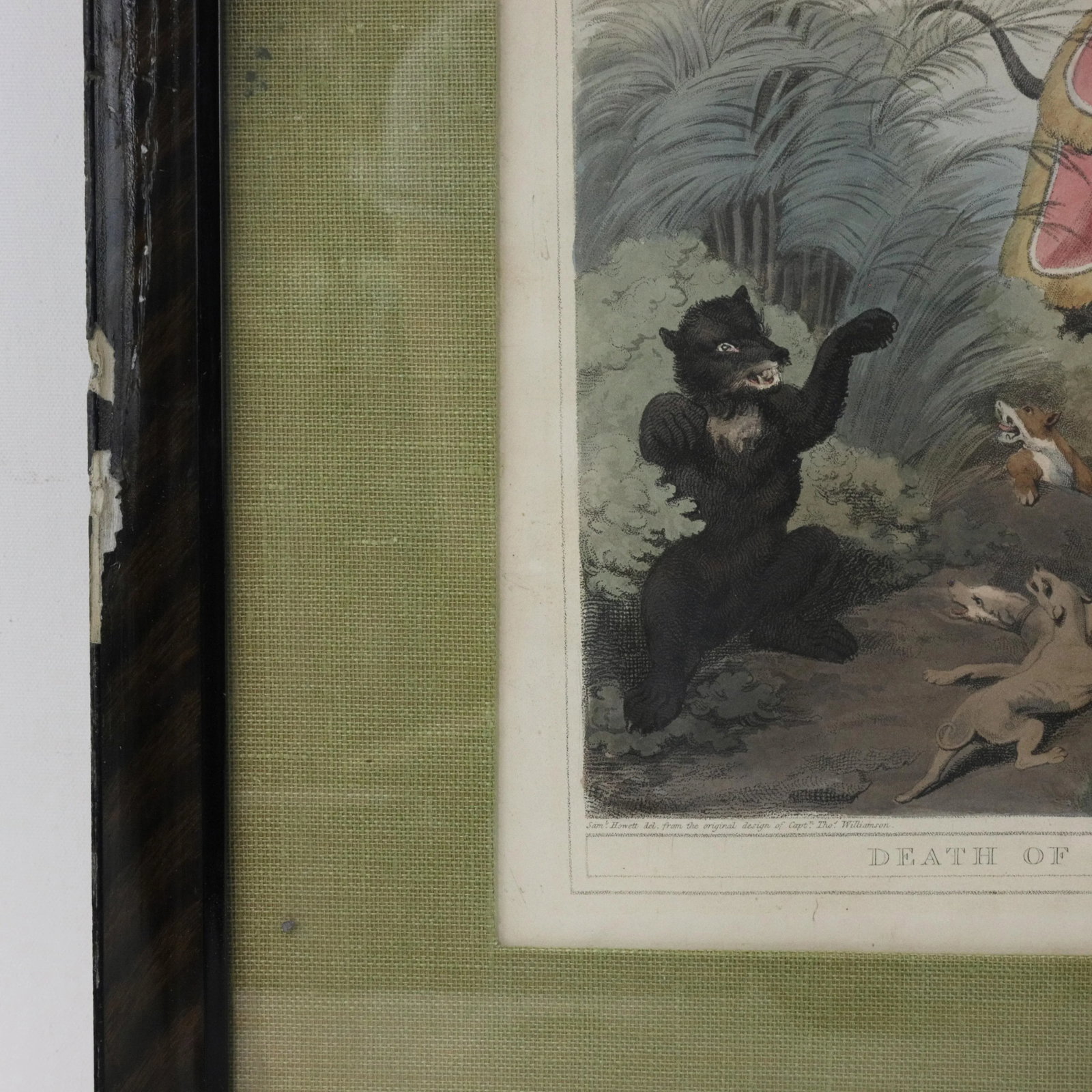Framed 1818 Hand-Colored Aquatint "Death of the Bear" by Howitt & Williamson - 8