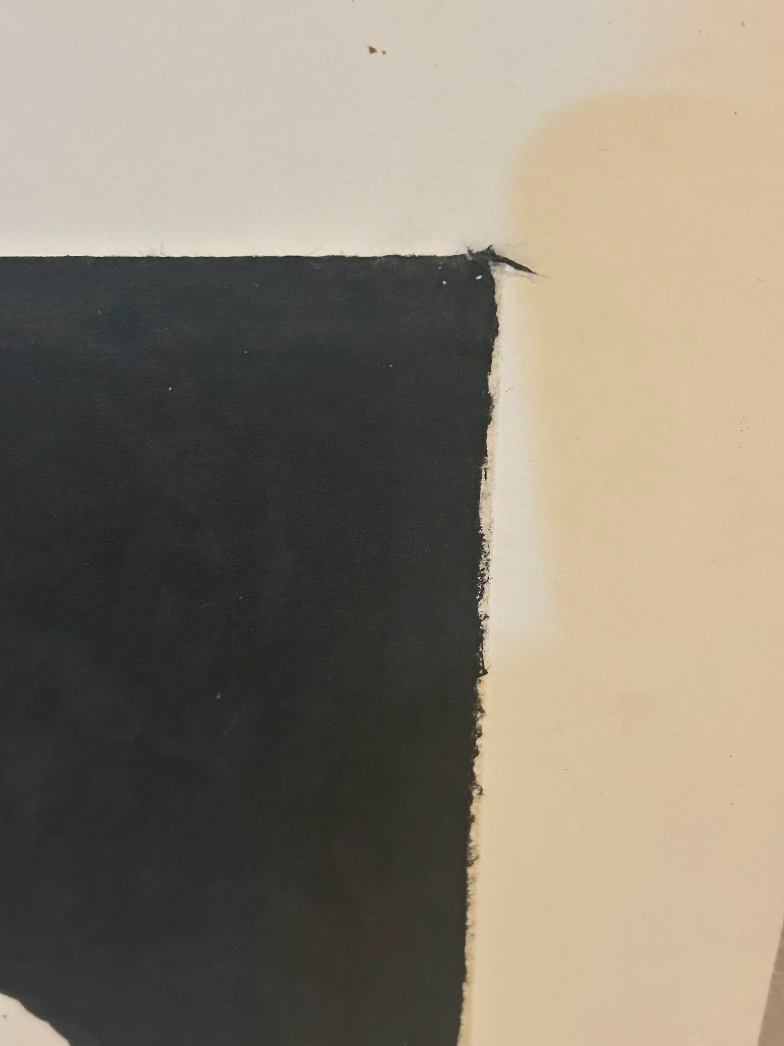 Black and White Painting on Paper by Thomas George - 4