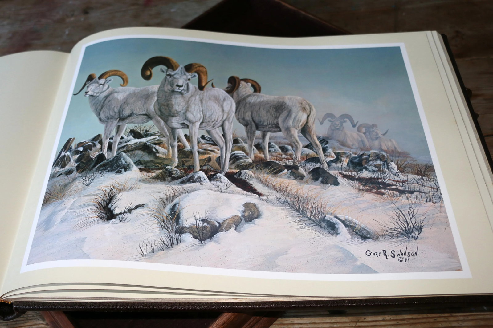 Vintage Collectible Book "World of Wildlife Paintings""” Limited Edition, 1986 - 16