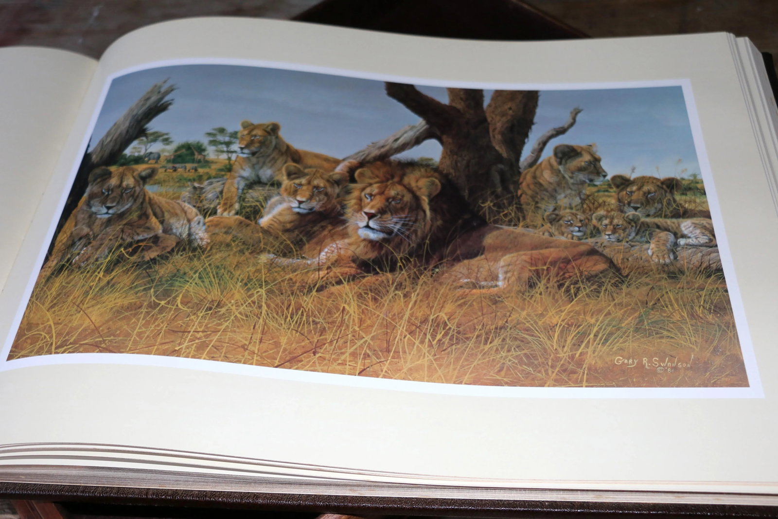 Vintage Collectible Book "World of Wildlife Paintings""” Limited Edition, 1986 - 17