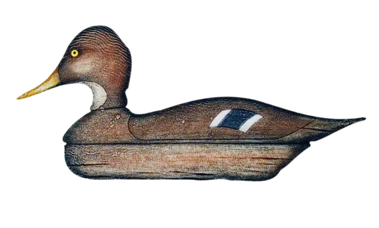 Arthur Nevin Mallard Hen Duck Decoy Print - 4