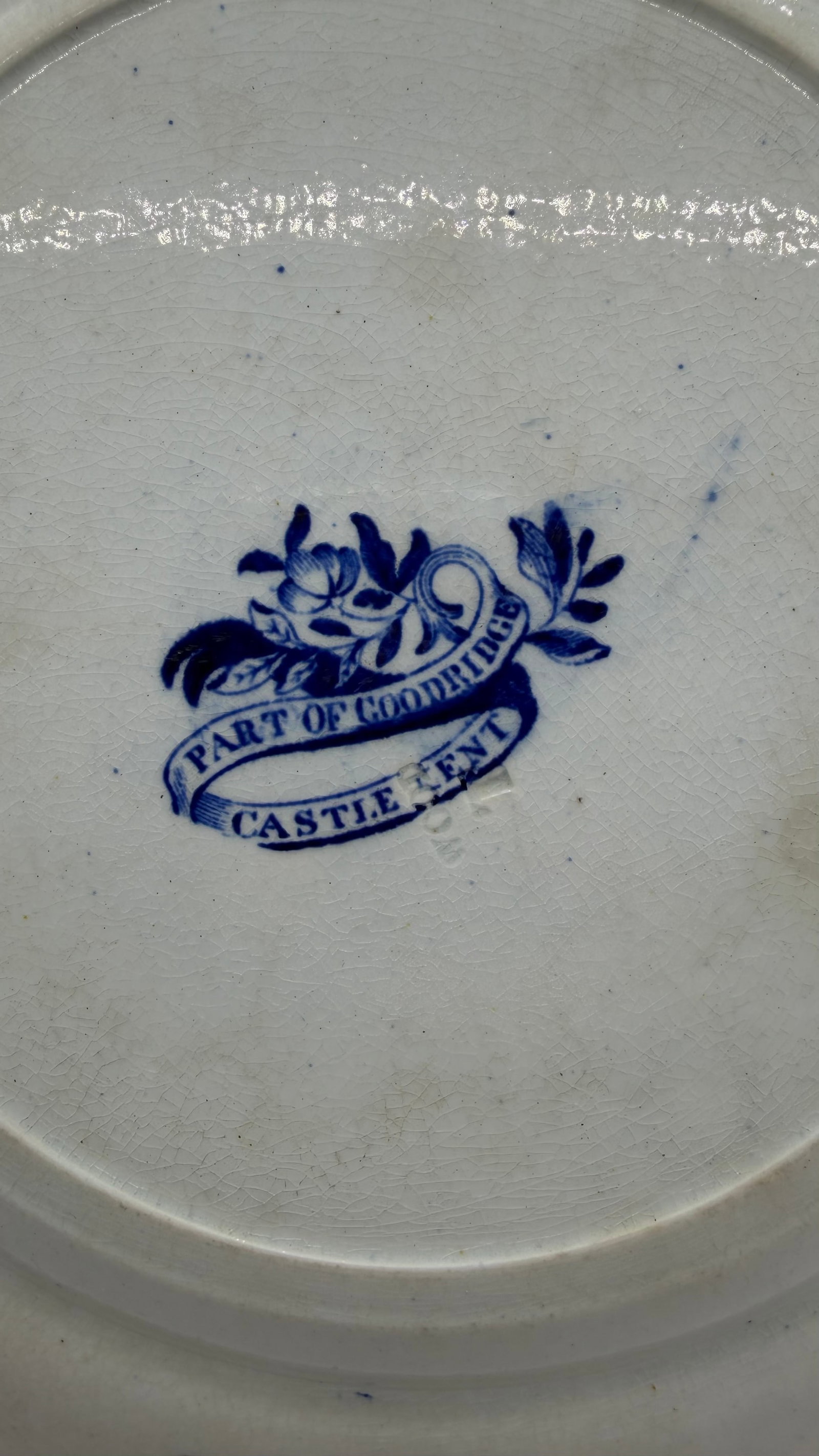 A Blue Dark Transfer Decorated Staffordshire Plate "Part of Goodridge Castle, Kent", by Enoch Woods, - 7