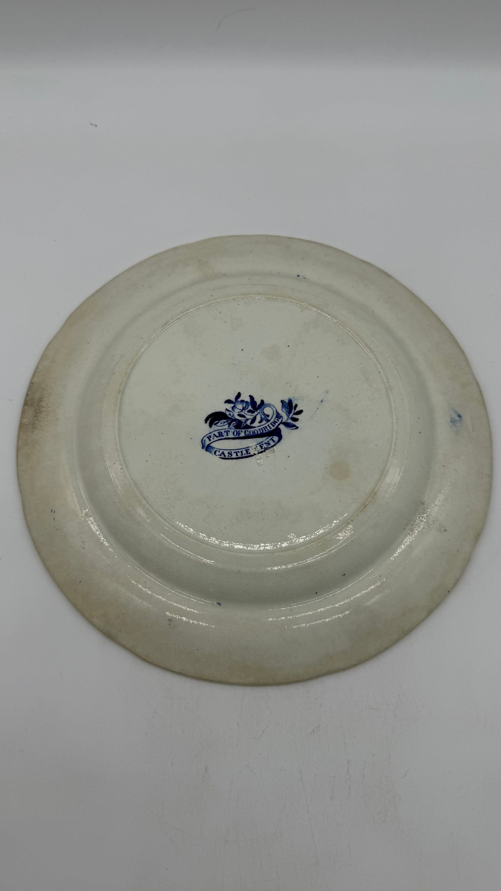 A Blue Dark Transfer Decorated Staffordshire Plate "Part of Goodridge Castle, Kent", by Enoch Woods, - 8