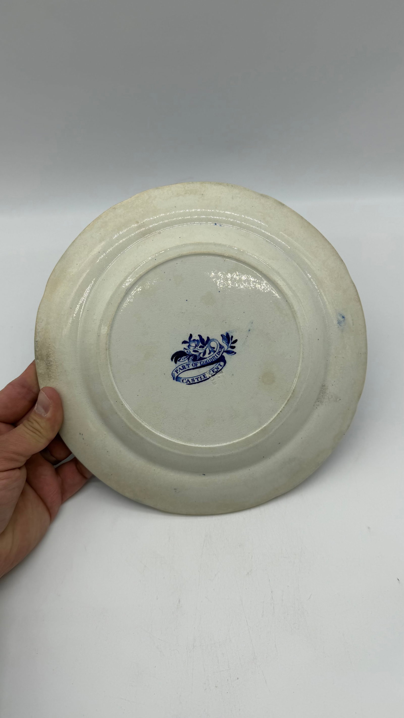 A Blue Dark Transfer Decorated Staffordshire Plate "Part of Goodridge Castle, Kent", by Enoch Woods, - 9