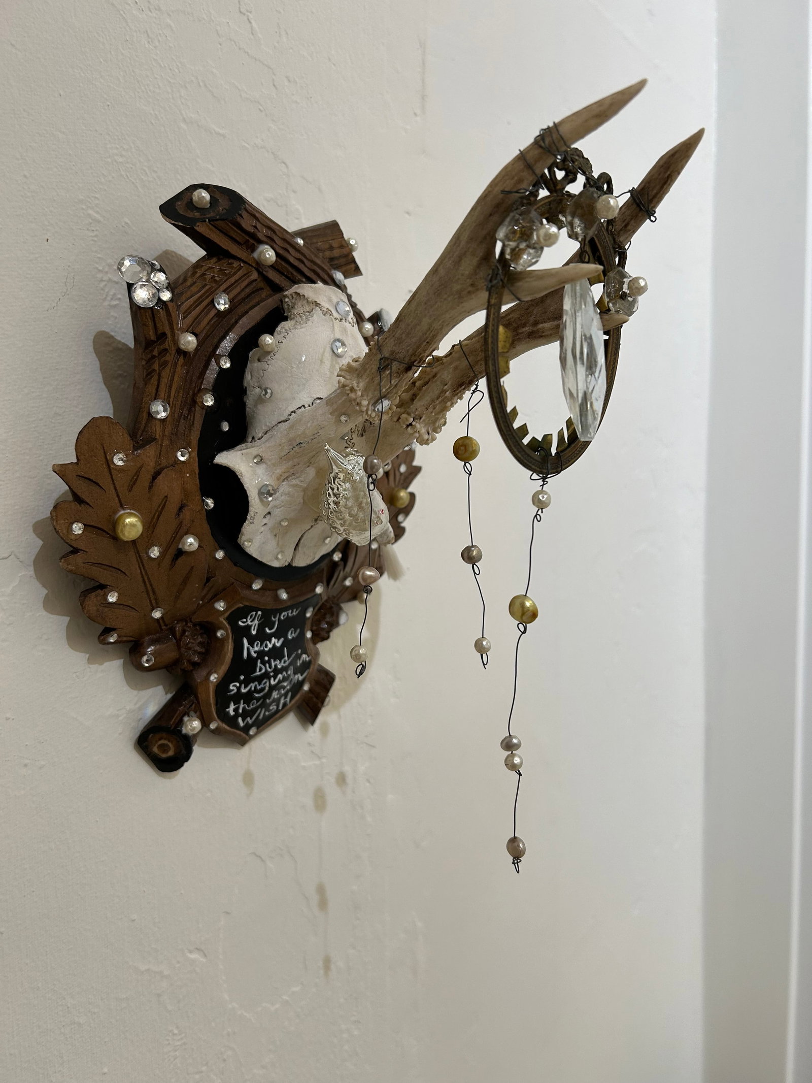 Black Forest Deer Skull Wall Sculpture - 3