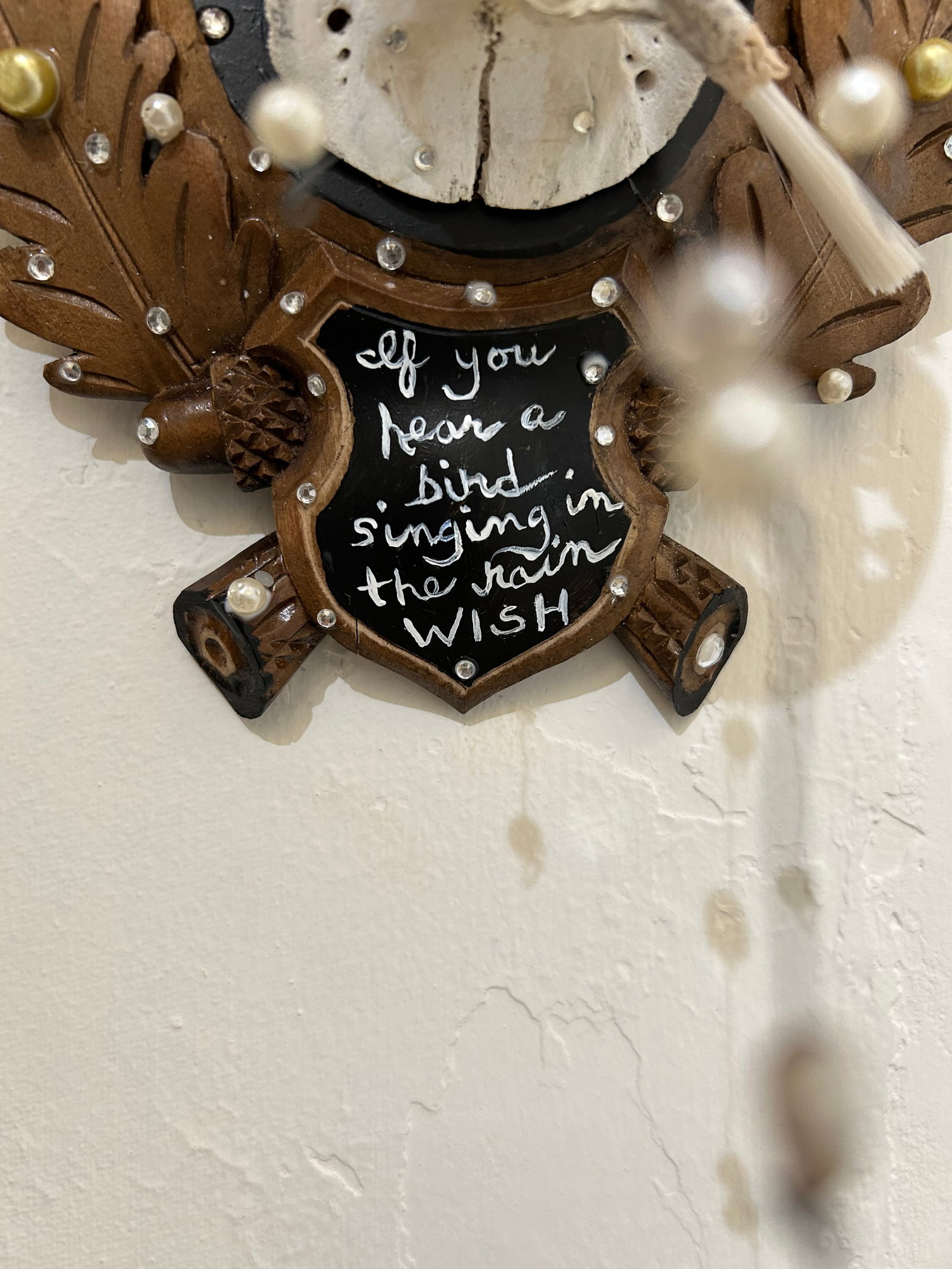 Black Forest Deer Skull Wall Sculpture - 6