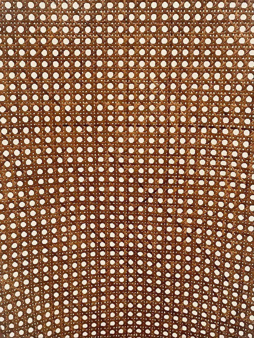Mid-Century Milo Baughman for Thayer Coggin Iron & Caned Armchairs -A Pair - 10