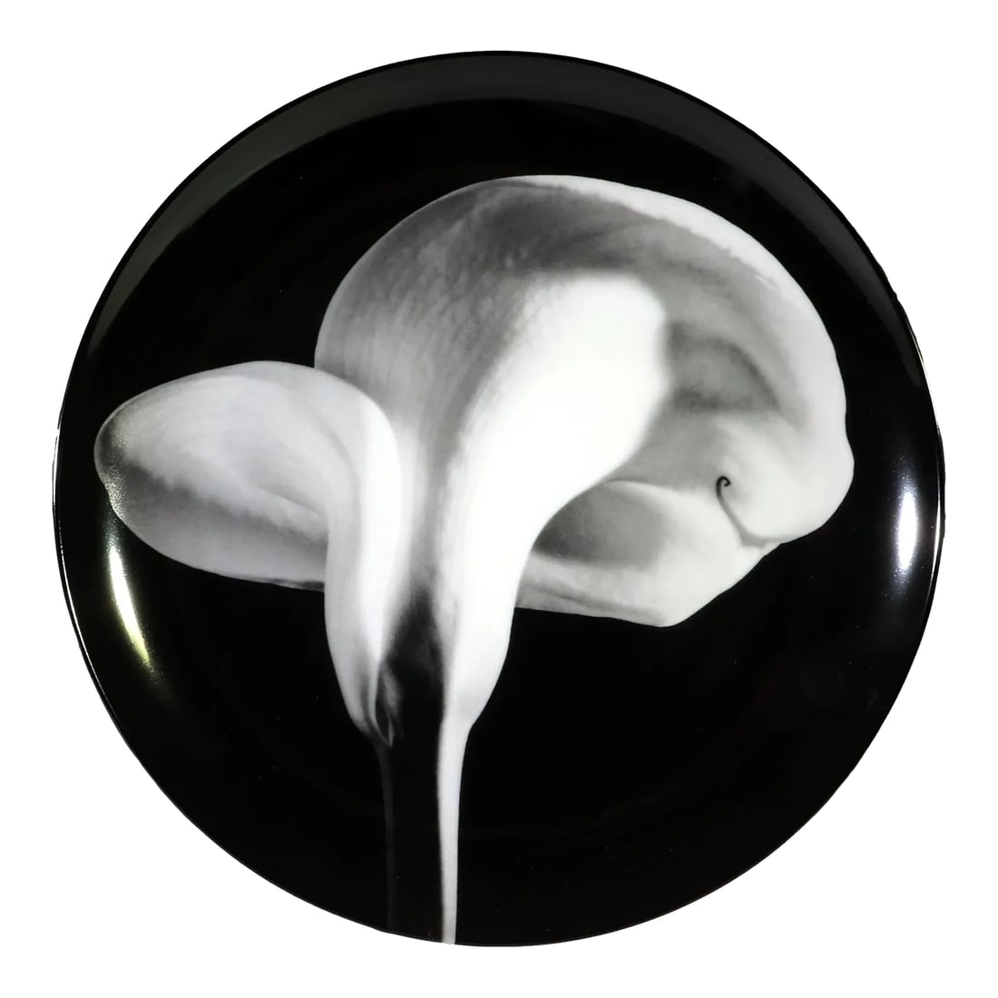 Robert Mapplethorpe Botanical Porcelain Plate, "Calla Lily, 1984" (1 of 6)