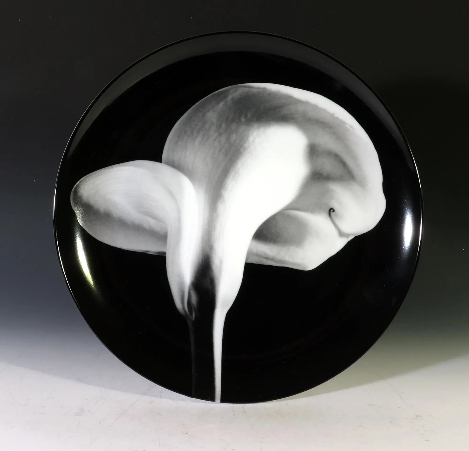 Robert Mapplethorpe Botanical Porcelain Plate, "Calla Lily, 1984" - 6
