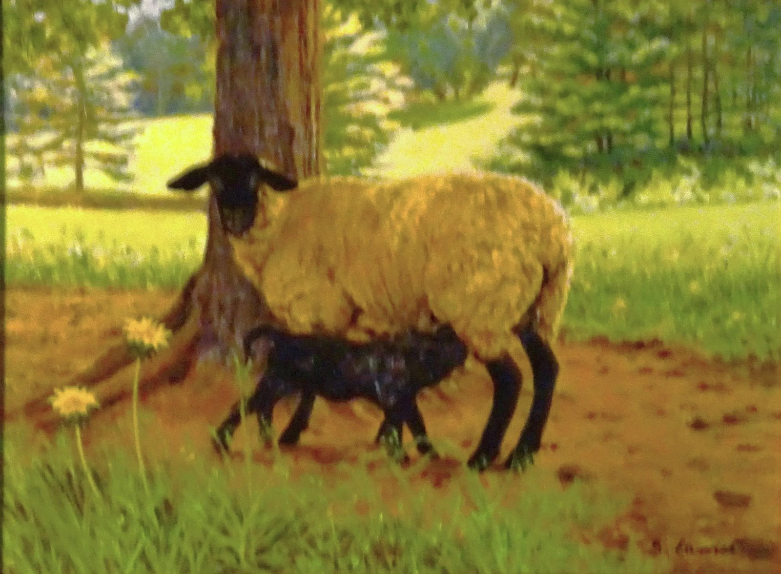 2005 "Ewe and Lamb", Oil Painting on Masonite by Sandra Eames, Framed - 2