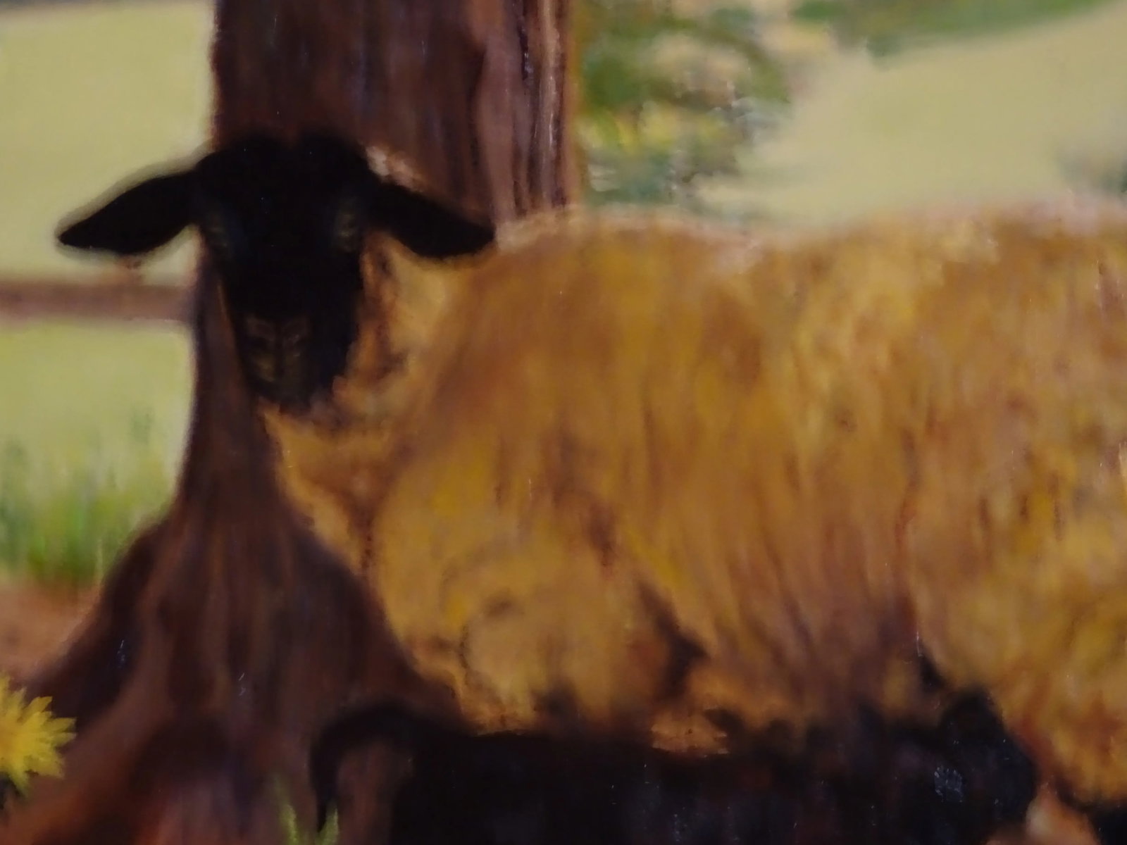2005 "Ewe and Lamb", Oil Painting on Masonite by Sandra Eames, Framed - 6
