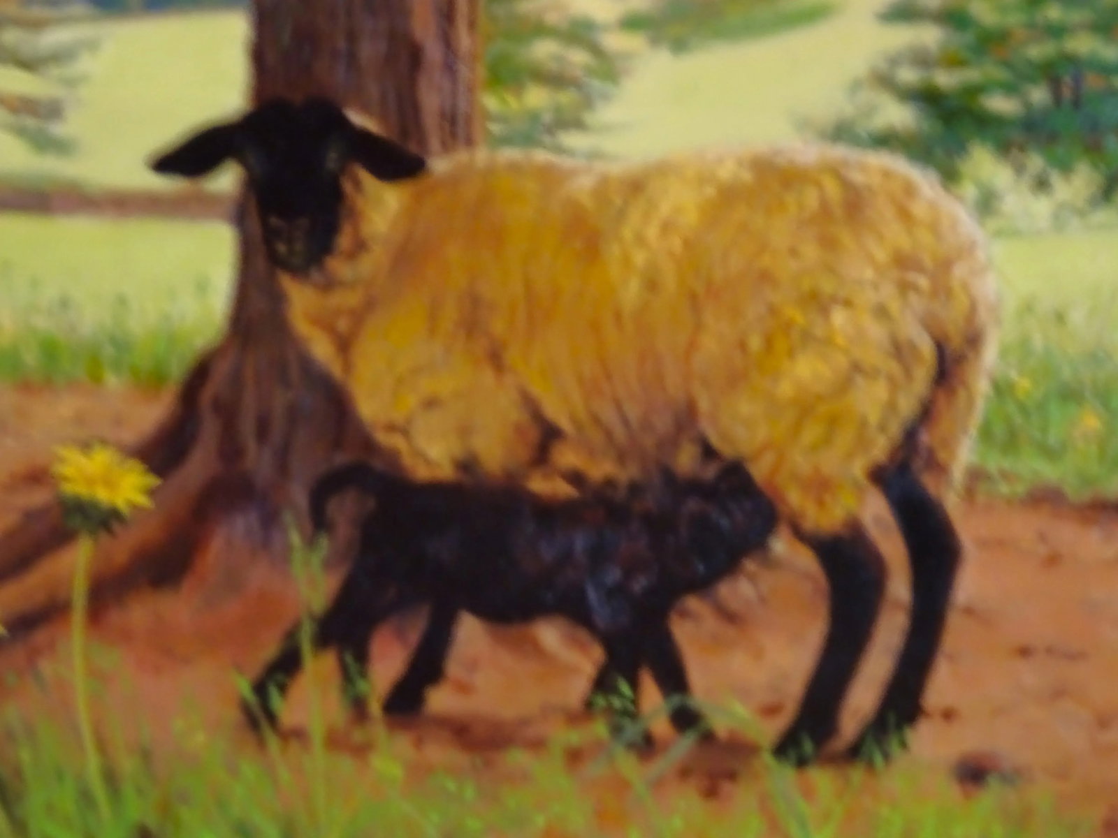 2005 "Ewe and Lamb", Oil Painting on Masonite by Sandra Eames, Framed - 7