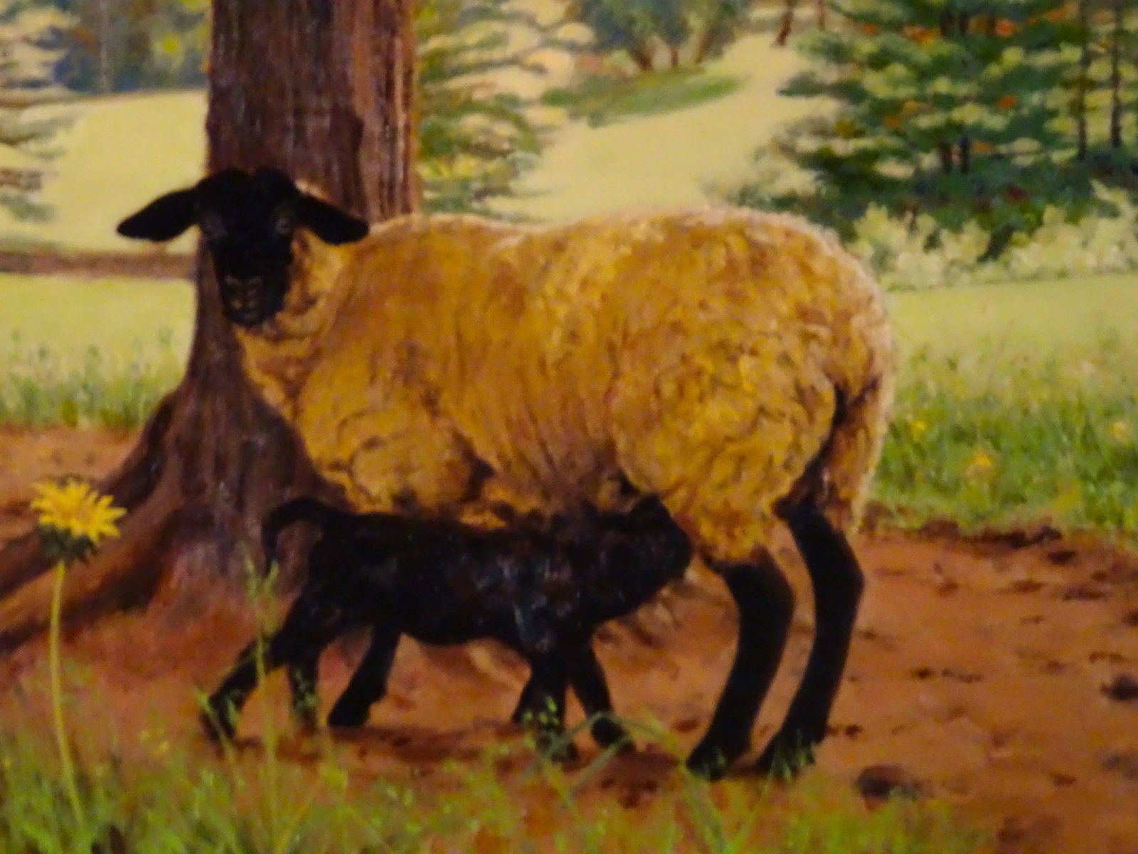 2005 "Ewe and Lamb", Oil Painting on Masonite by Sandra Eames, Framed - 8