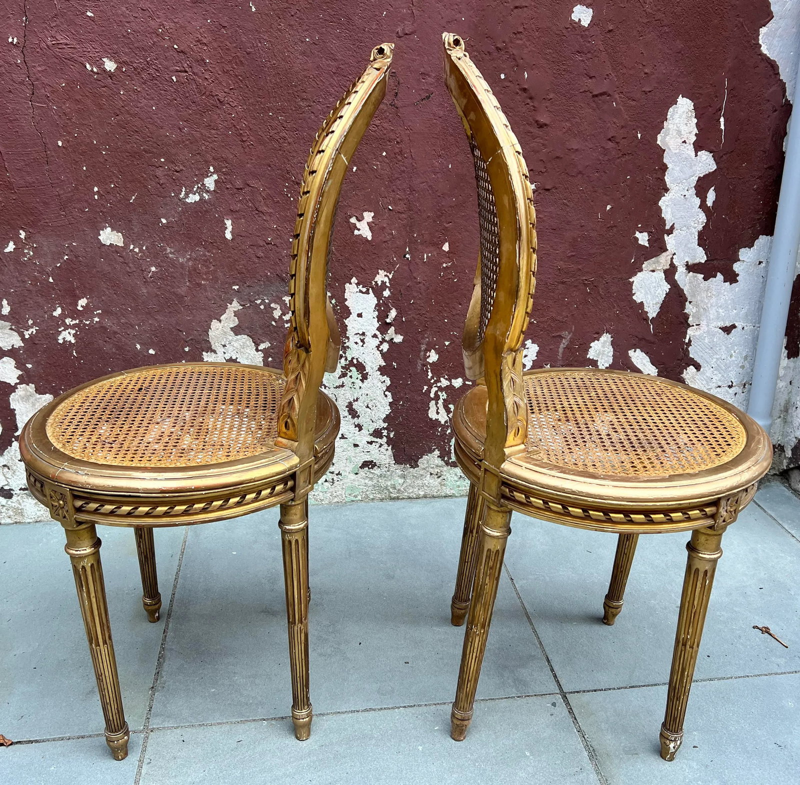 19th Century Pair of Louis XVI Giltwood Side Caned Chairs - 4