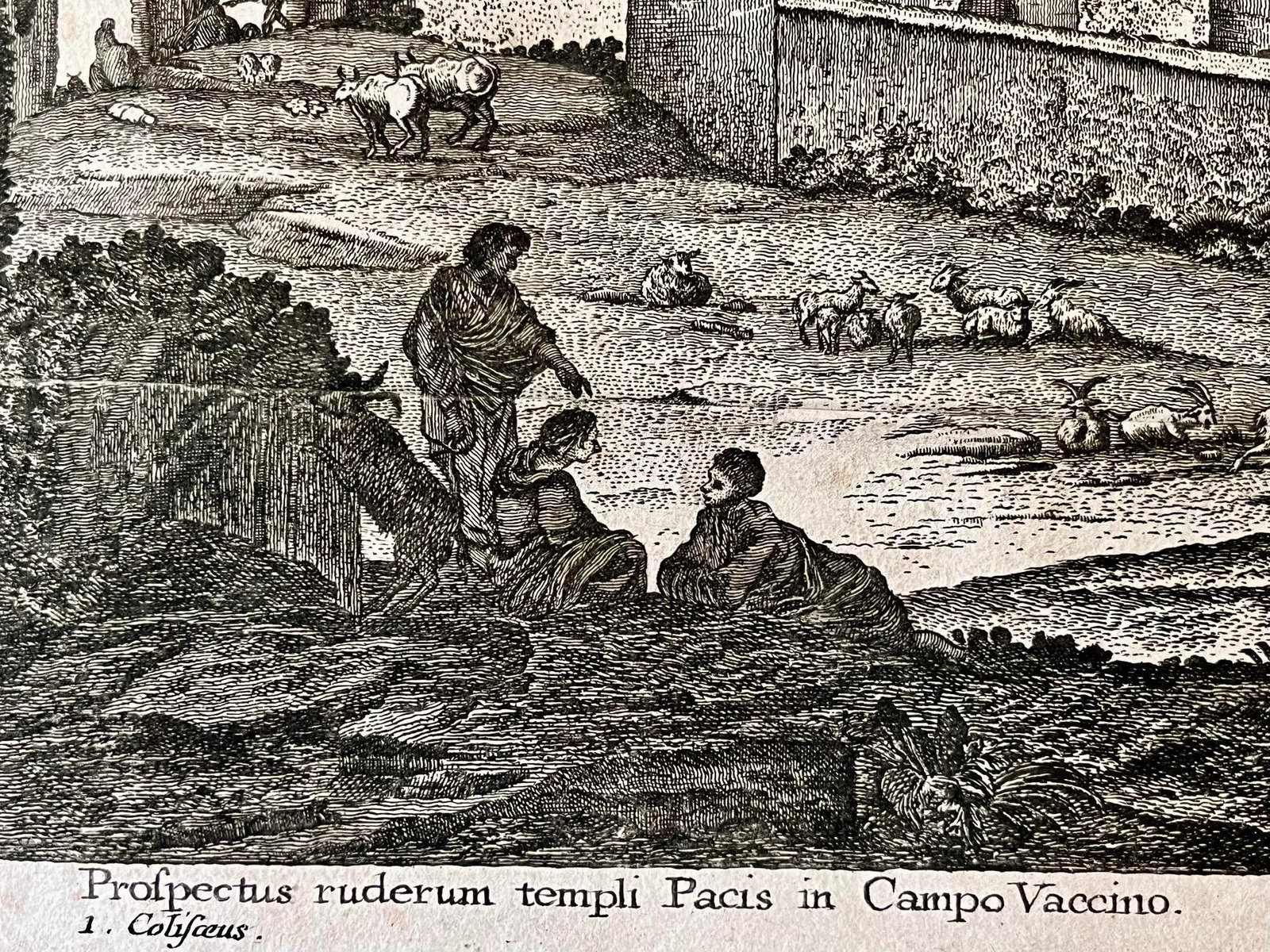 Antique Engraving of Roman Ruins of the Temple of Freedom in Campo Vaccino , by Georg Christoph Kili - 6